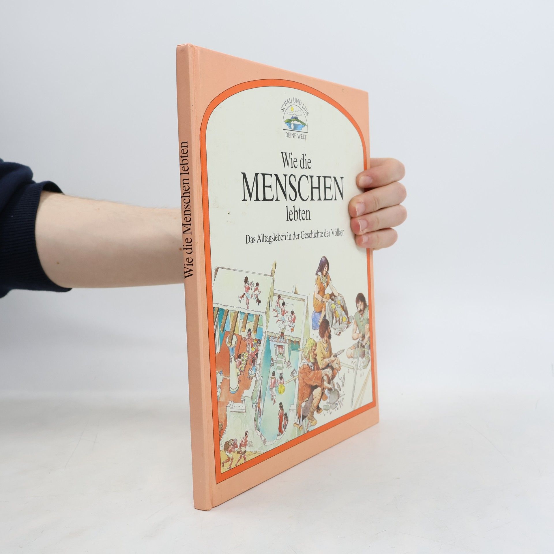 Kolektiv autorů Wie die Menschen lebten. Das Alltagsleben in der Geschichte der Völker