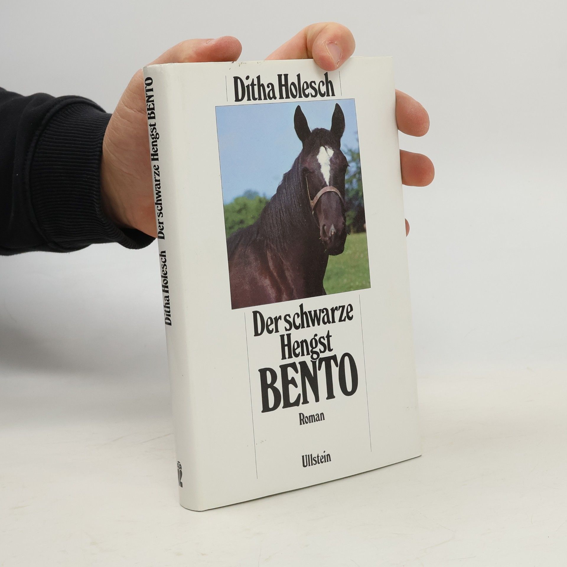 Ditha Holesch Der schwarze Hengst Bento