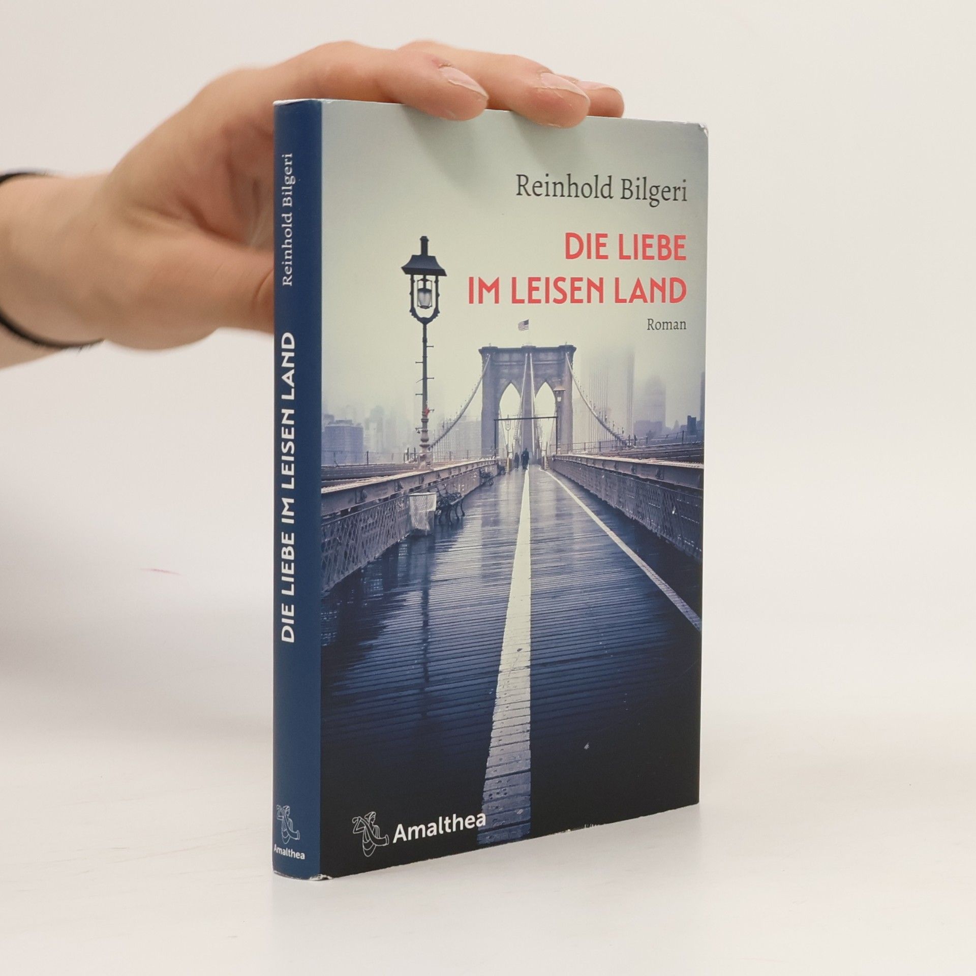 Reinhold Bilgeri Die Liebe im leisen Land