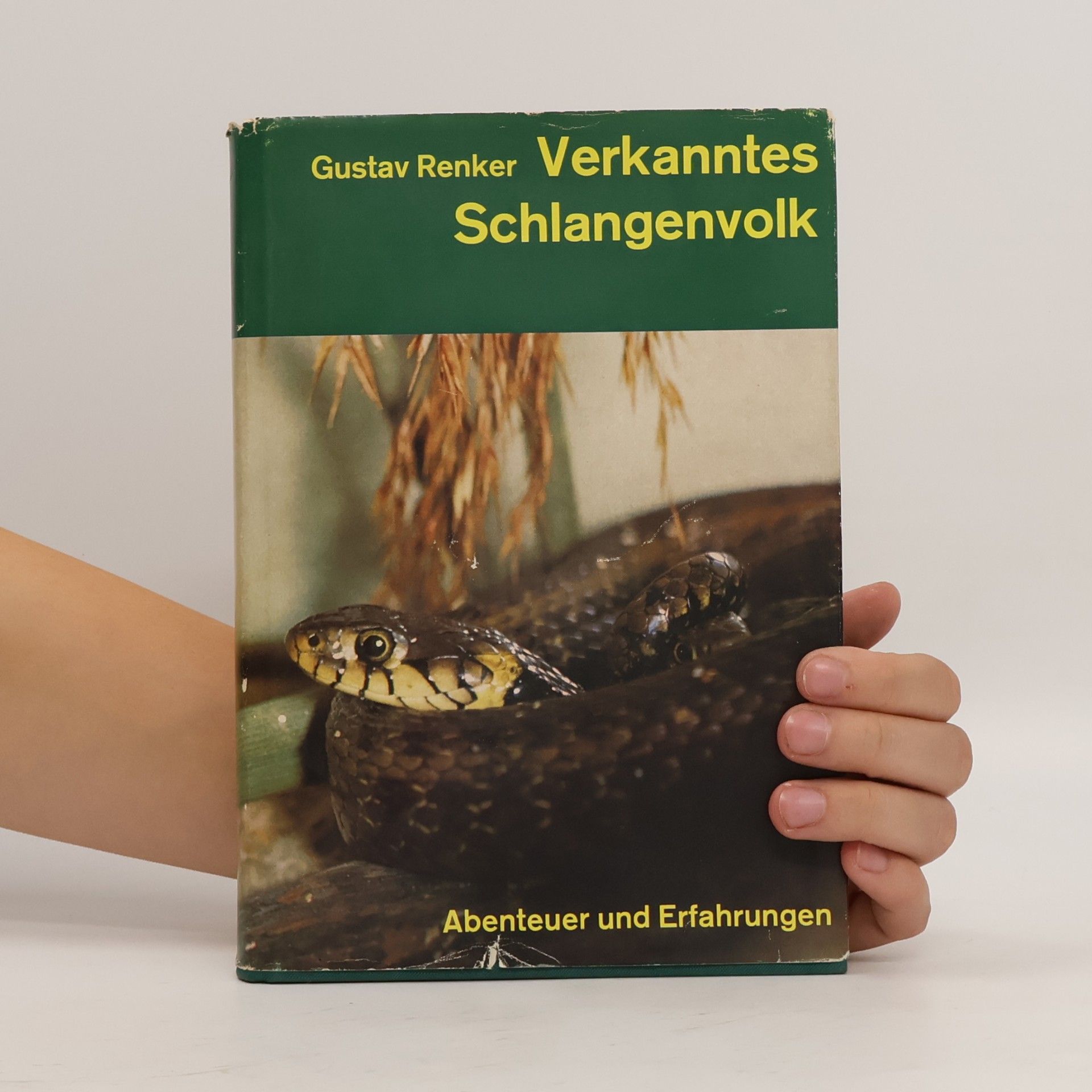 Gustav Renker Verkanntes Schlangenvolk