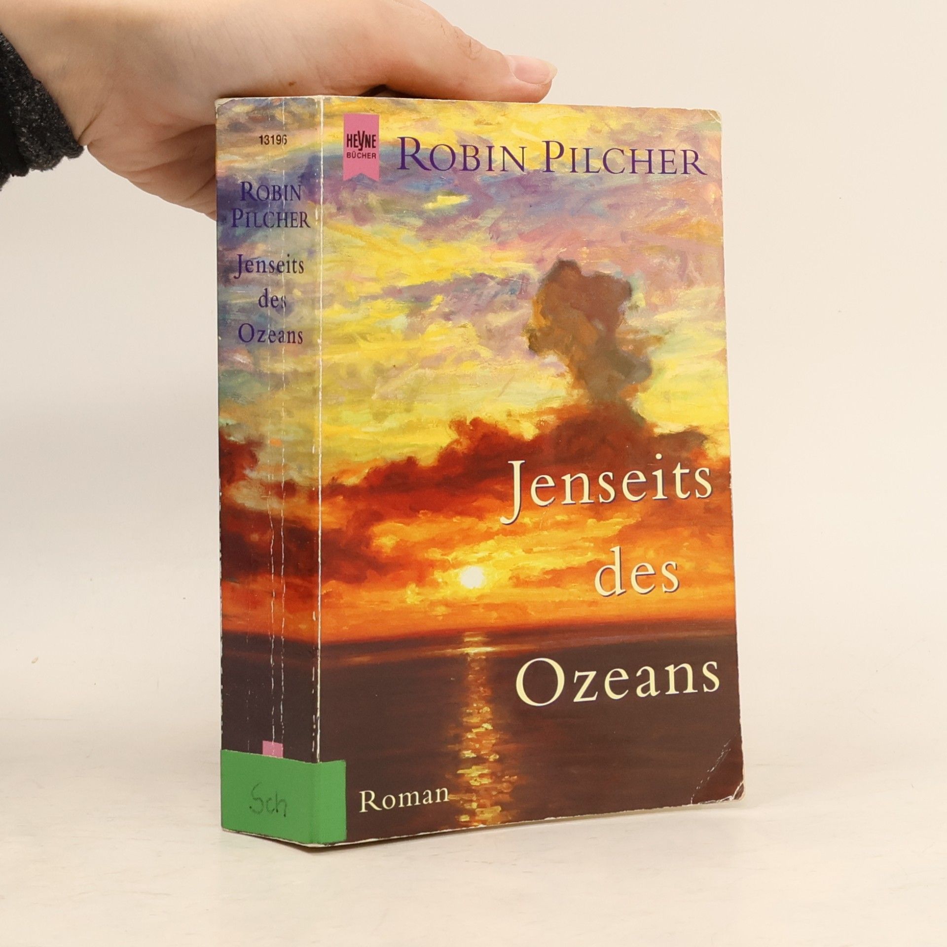 Robin Pilcher Jenseits des Ozeans.