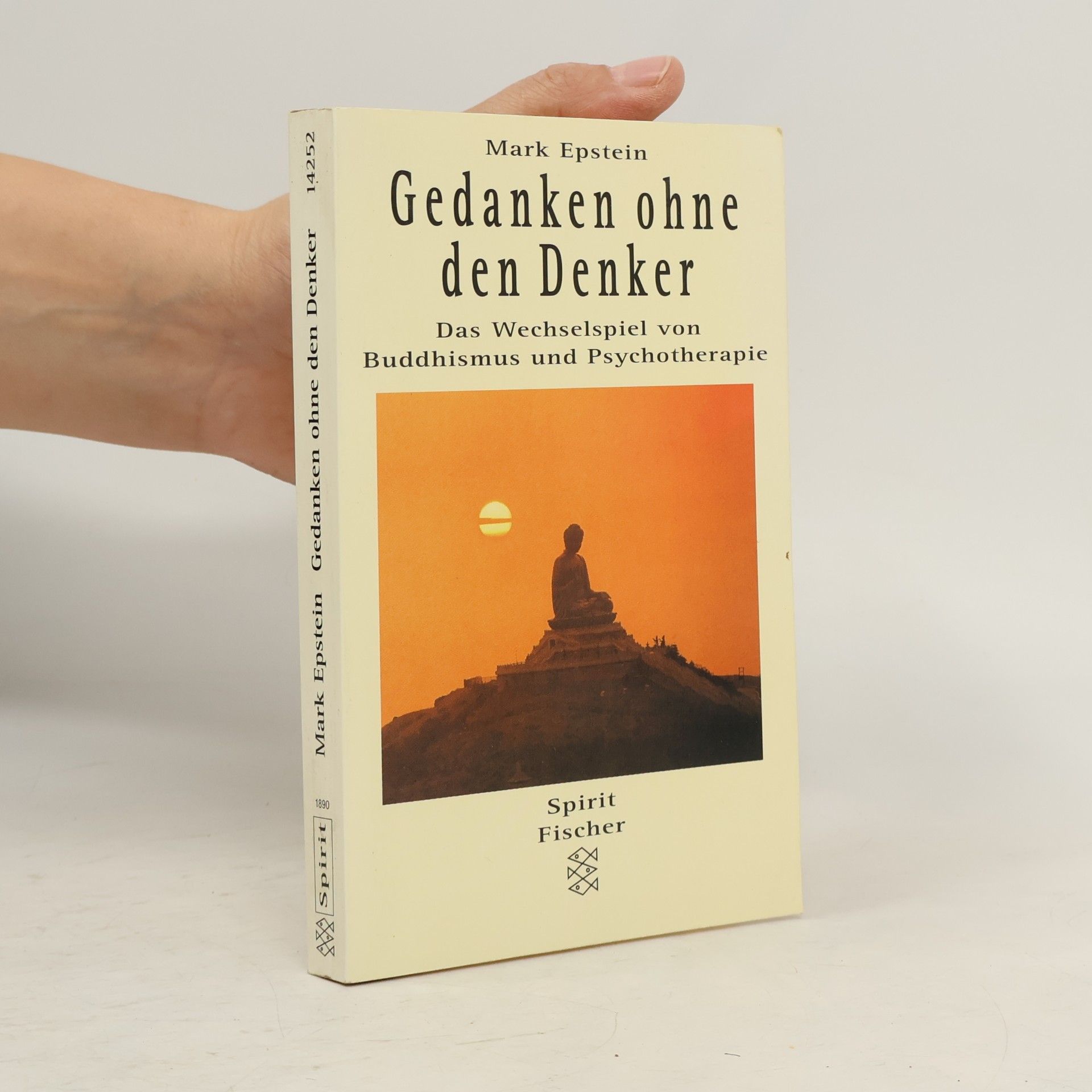 Mark Epstein Gedanken ohne den Denker