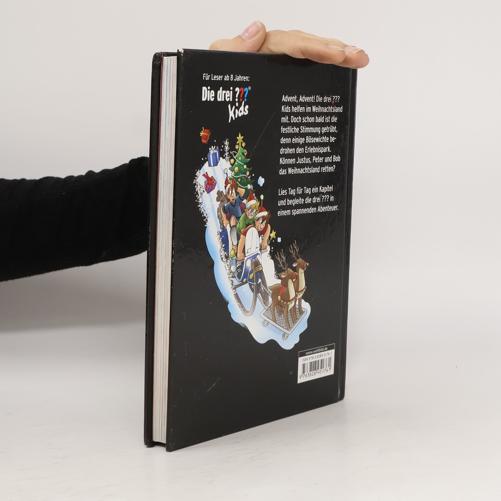 Ulf Blanck Der Adventskalender - 24 Tage im Weihnachtsland