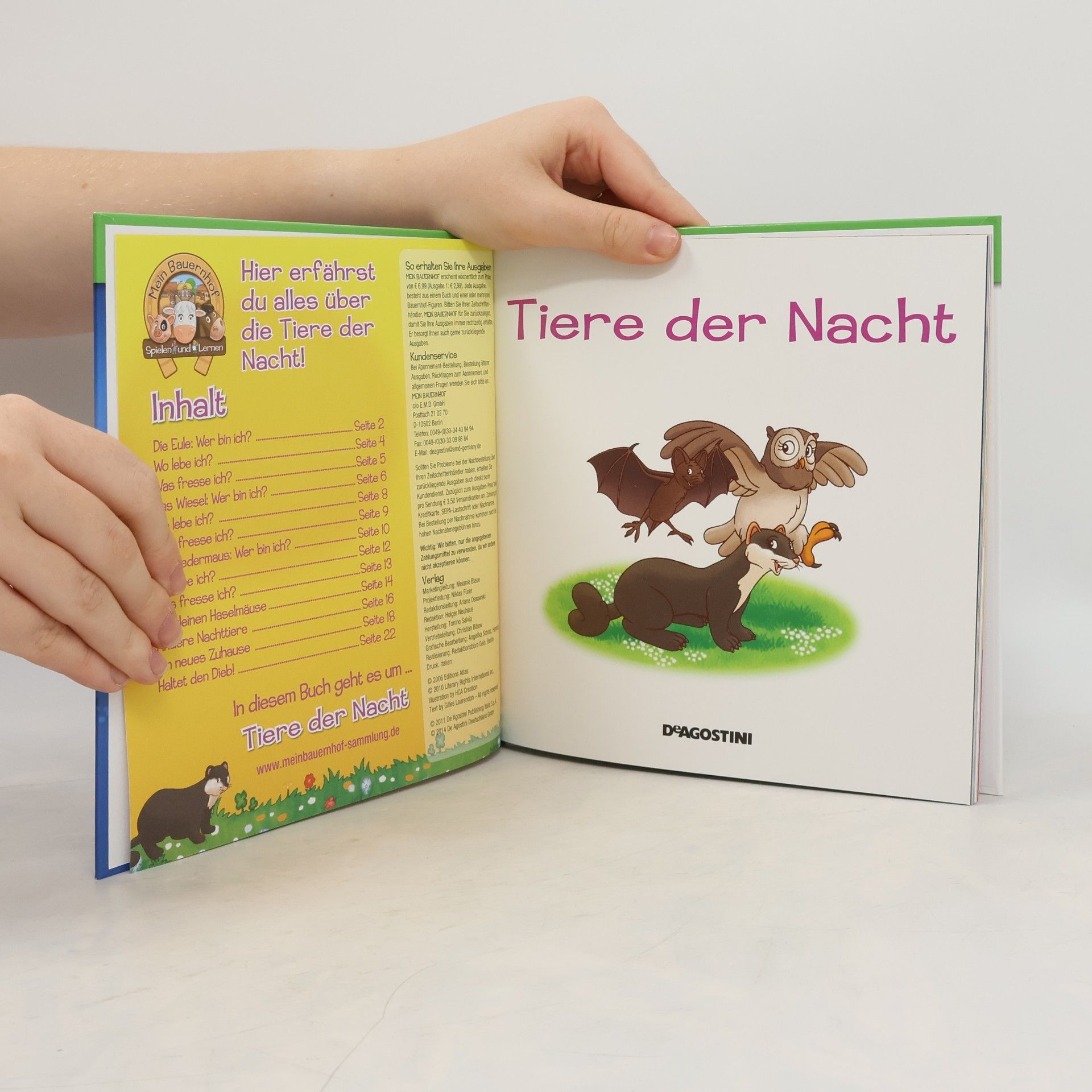 Autorenkollektiv Tiere der Nacht
