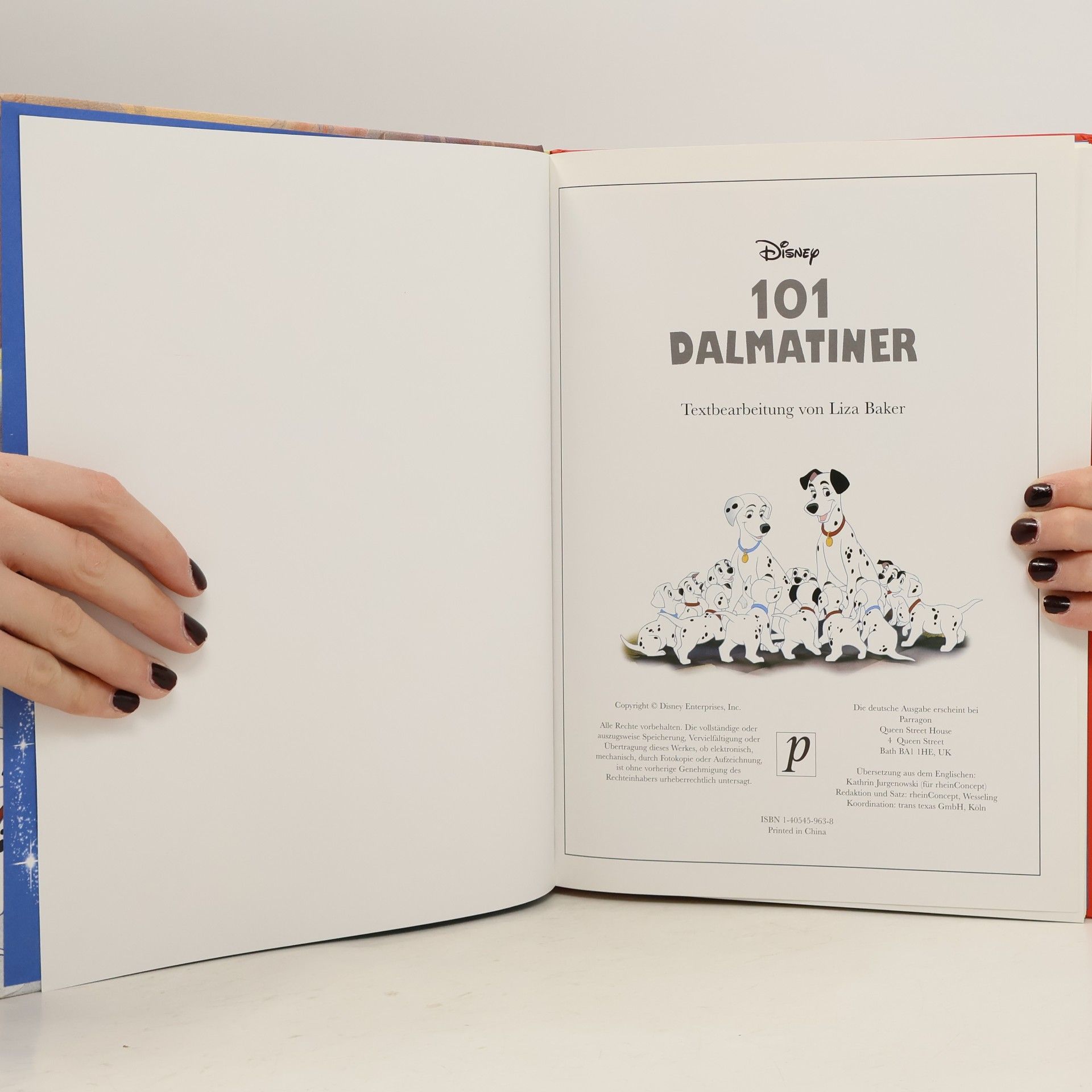 Autorenkollektiv 101 Dalmatiner