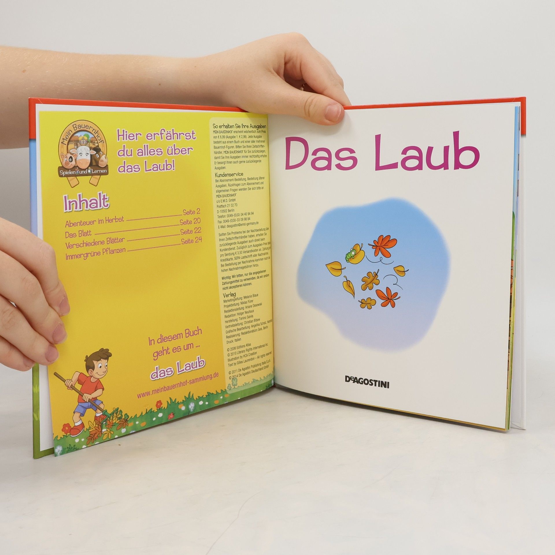 Gilles Laurendon Das Laub