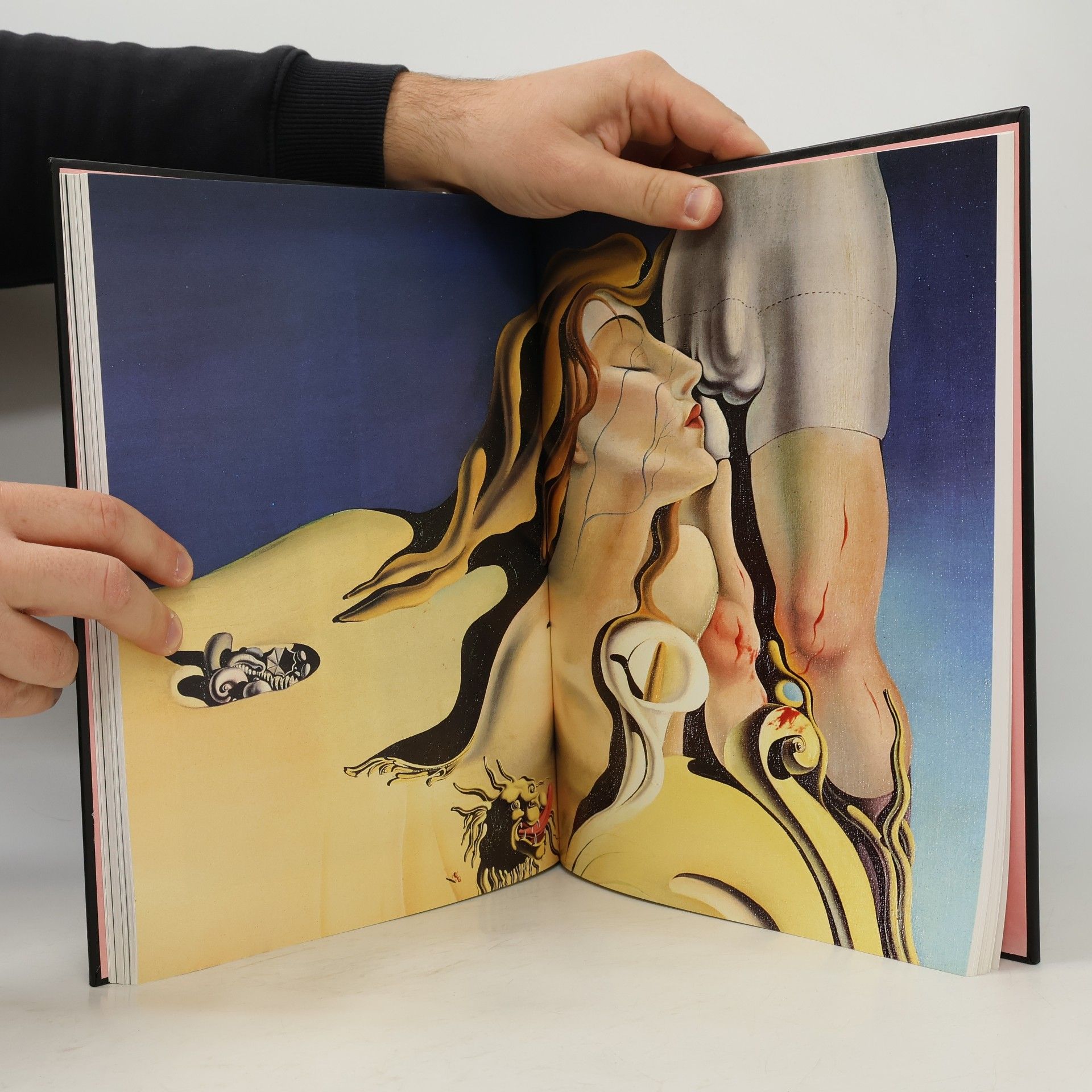 Gilles Néret Erotik in der Kunst des 20. Jahrhunderts