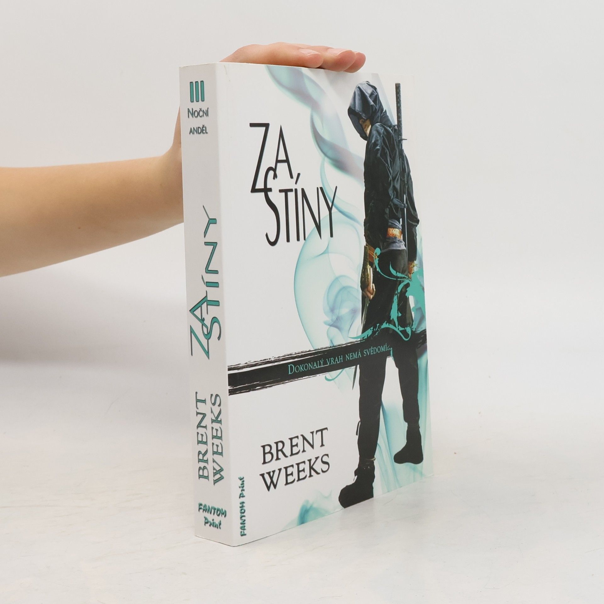 Brent Weeks Noční anděl 3. Za stíny