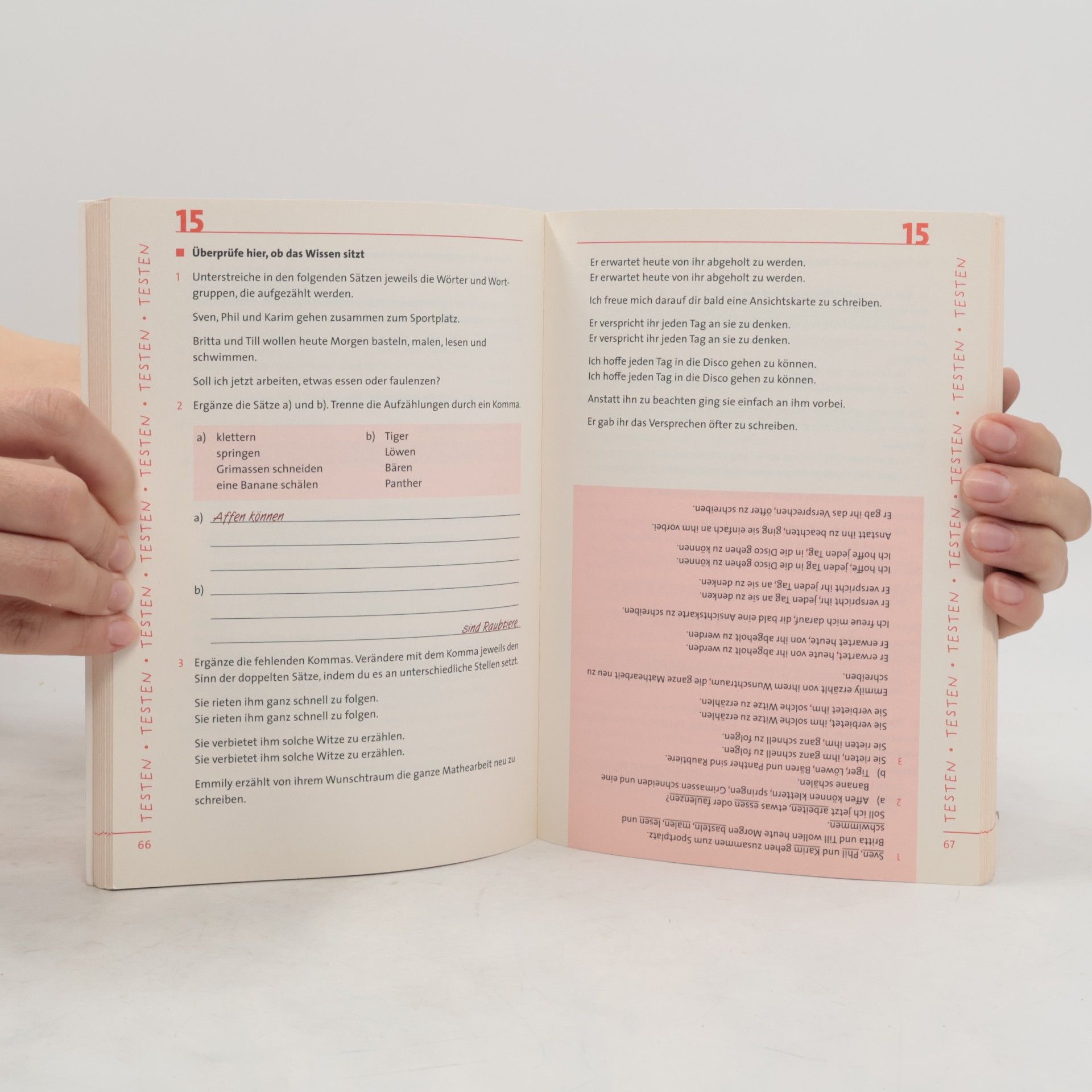 Wissen und Testen: Deutsch