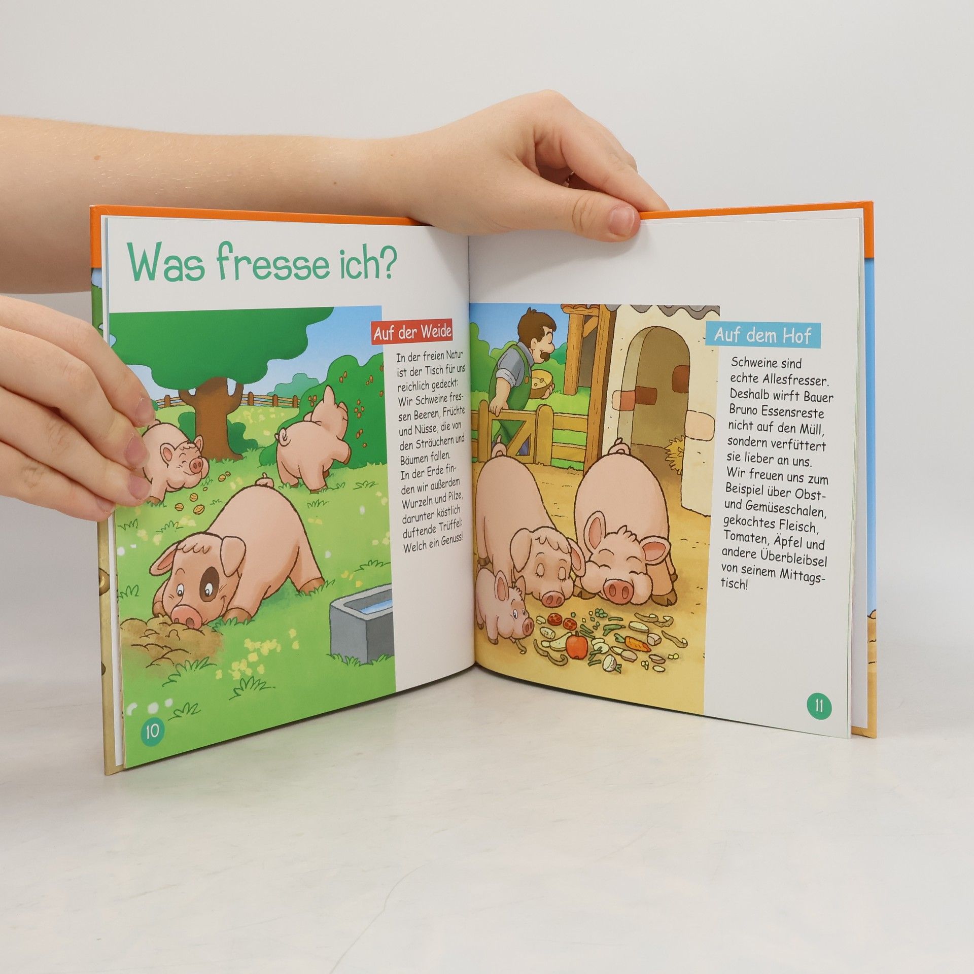 Autorenkollektiv Das Schwein