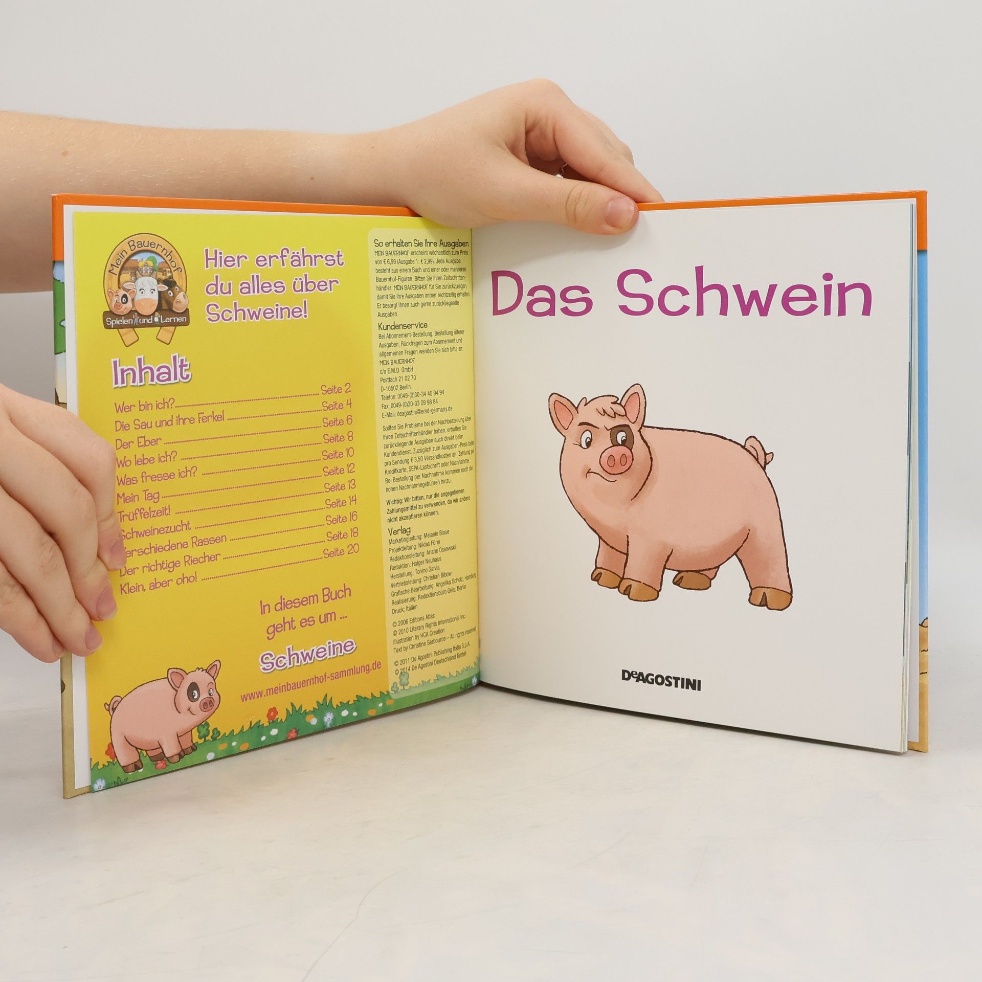 Autorenkollektiv Das Schwein