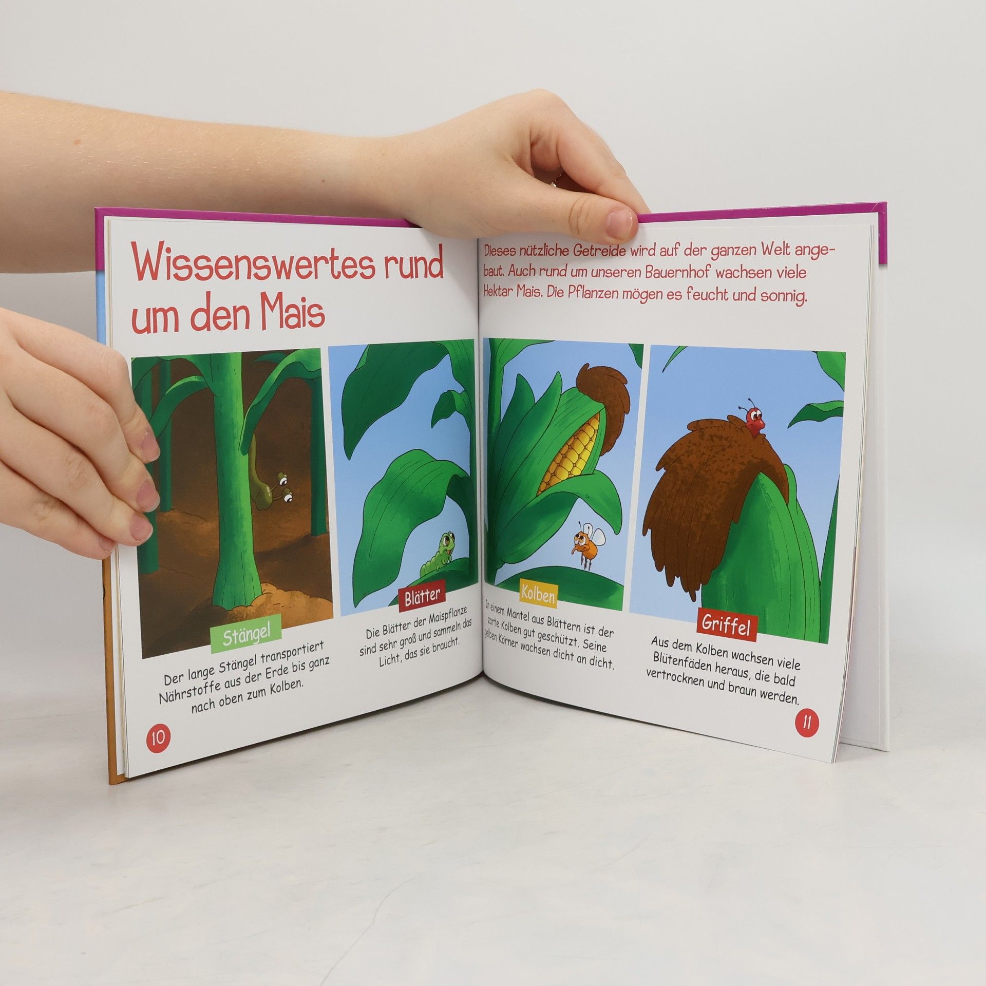 Autorenkollektiv Korn und getreide