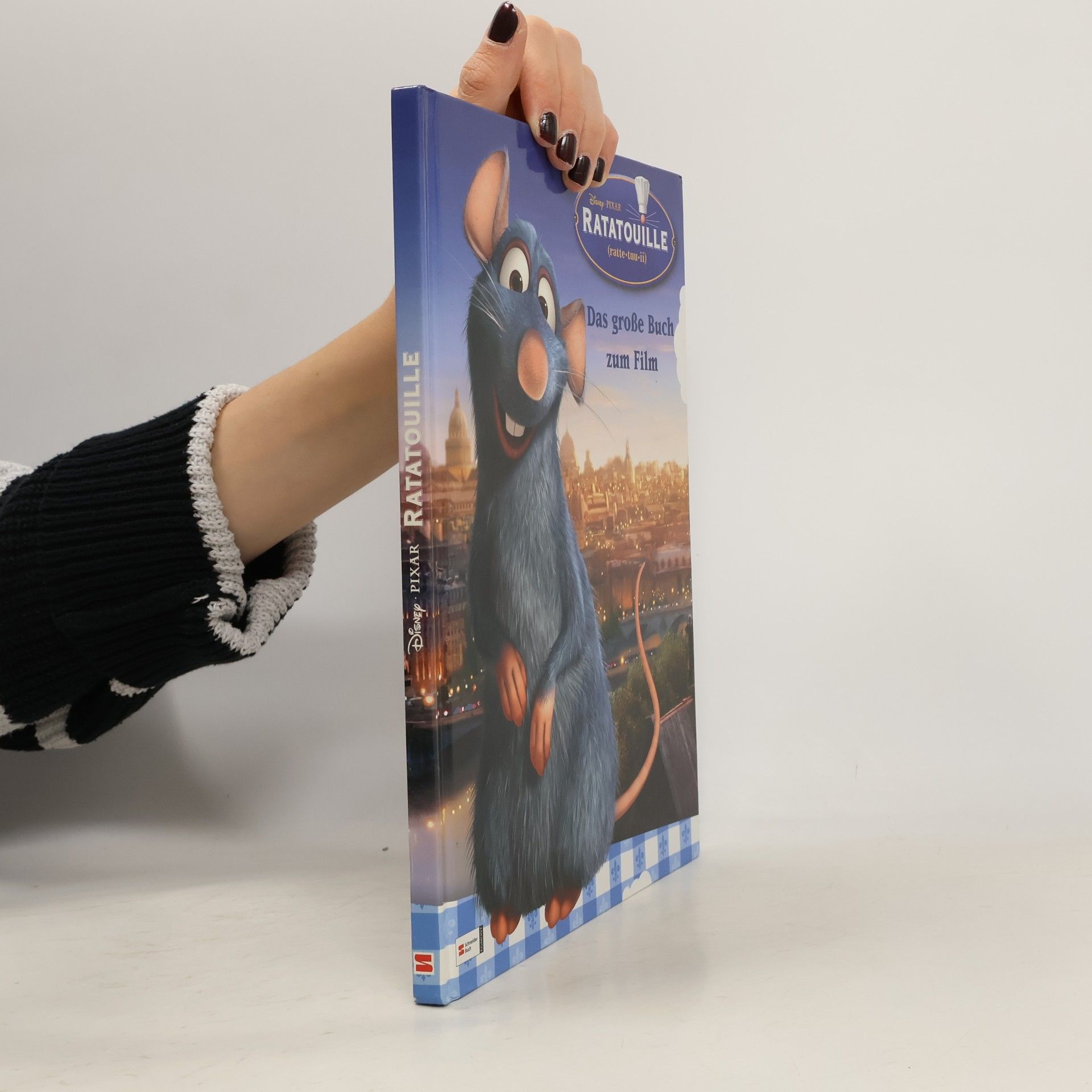 Walt Disney Ratatouille, Buch zum Film