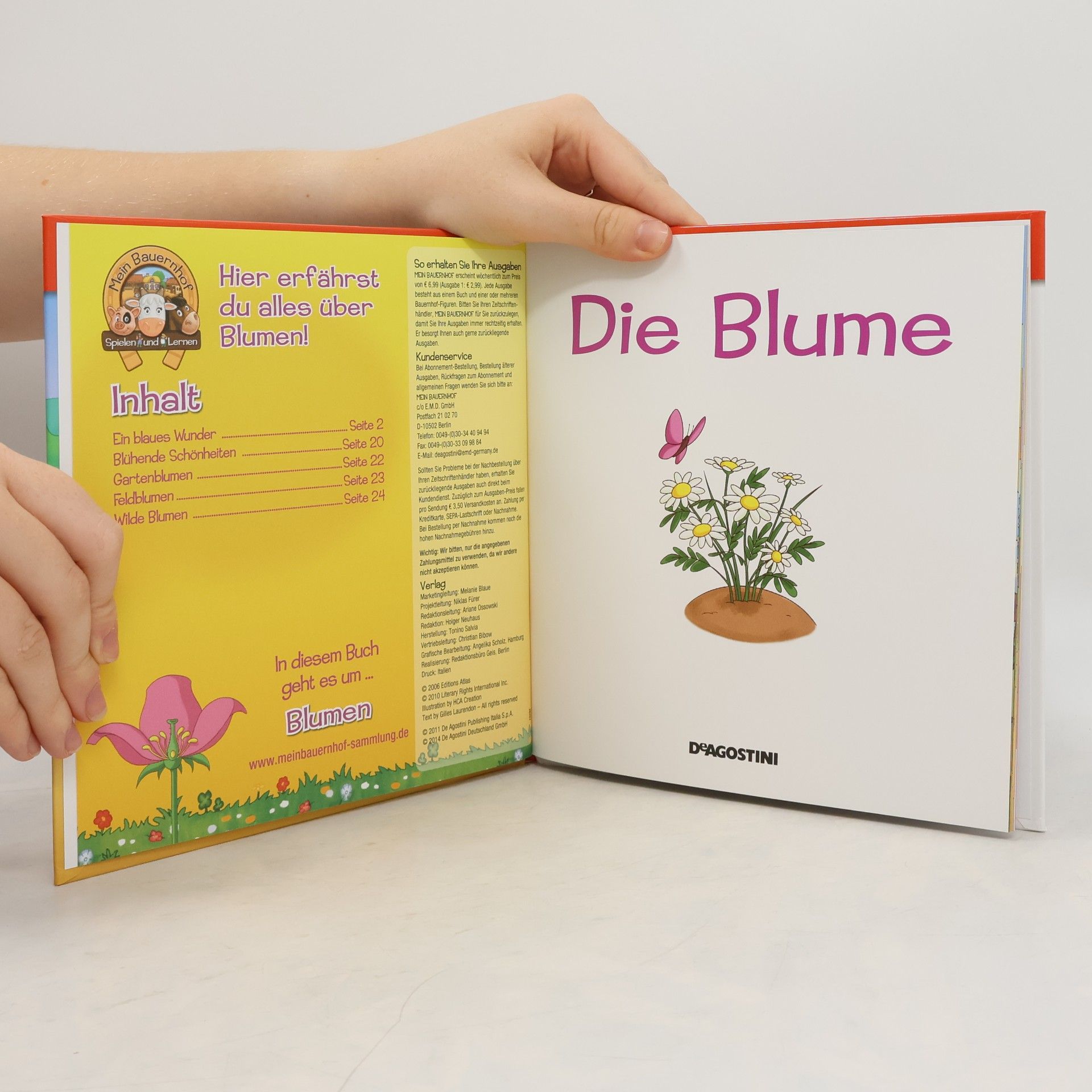 Gilles Laurendon Die Blume