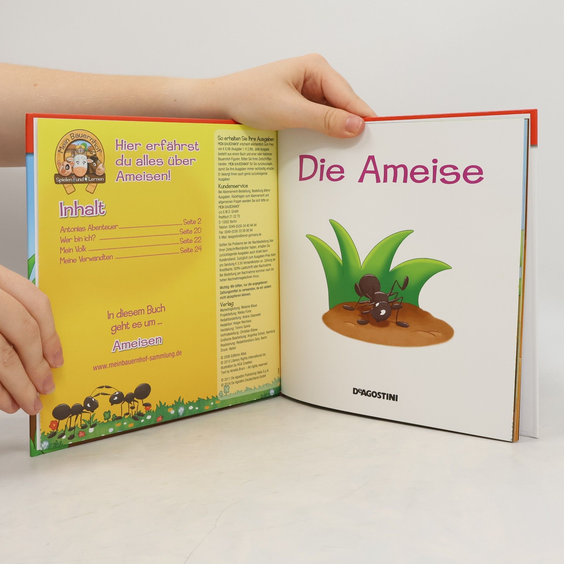 Autorenkollektiv Die Ameise 35