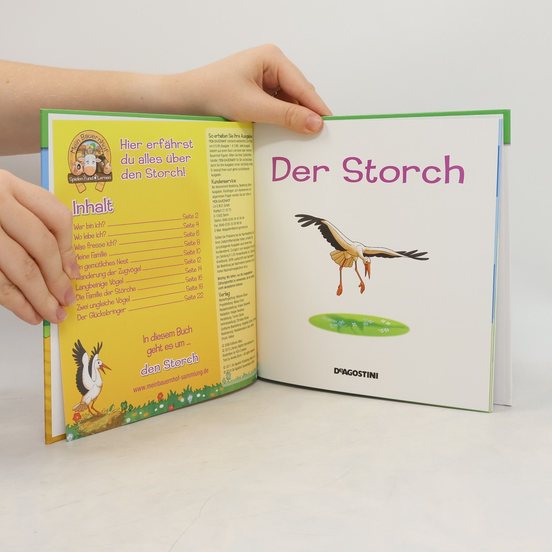 Amelia Bruni Der Storch