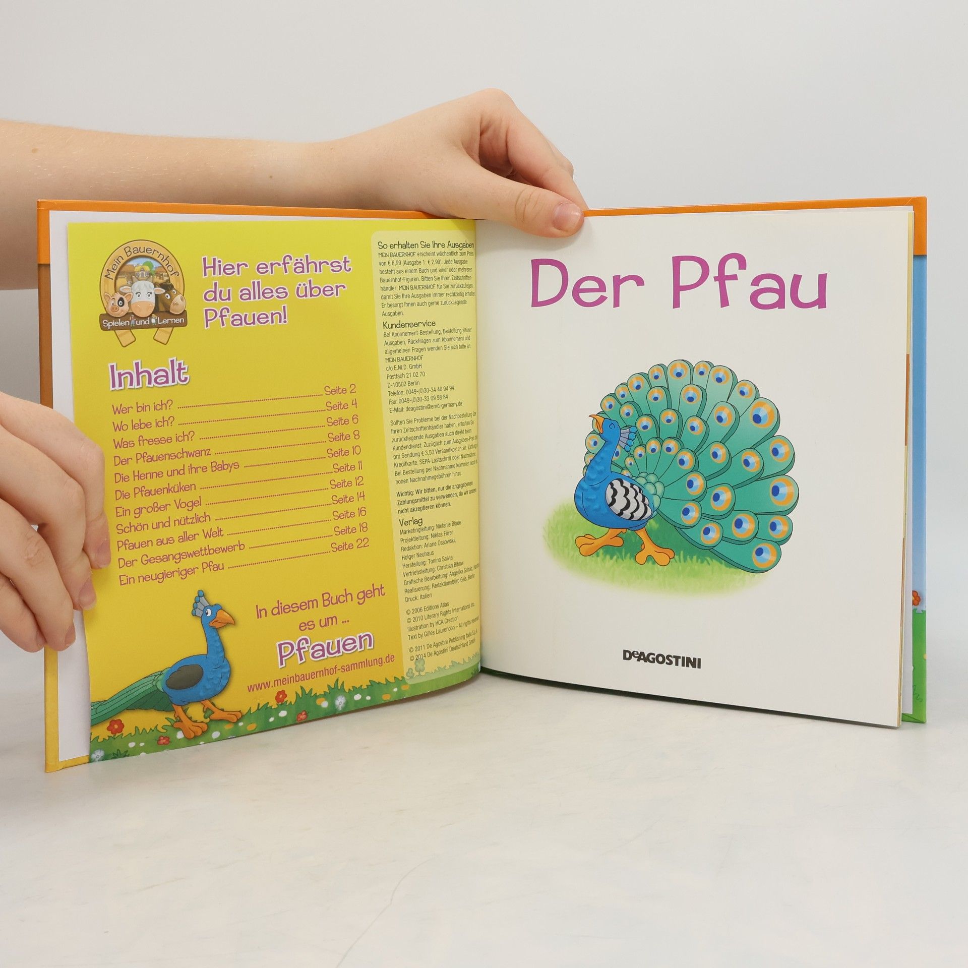 Autorenkollektiv Der pfau