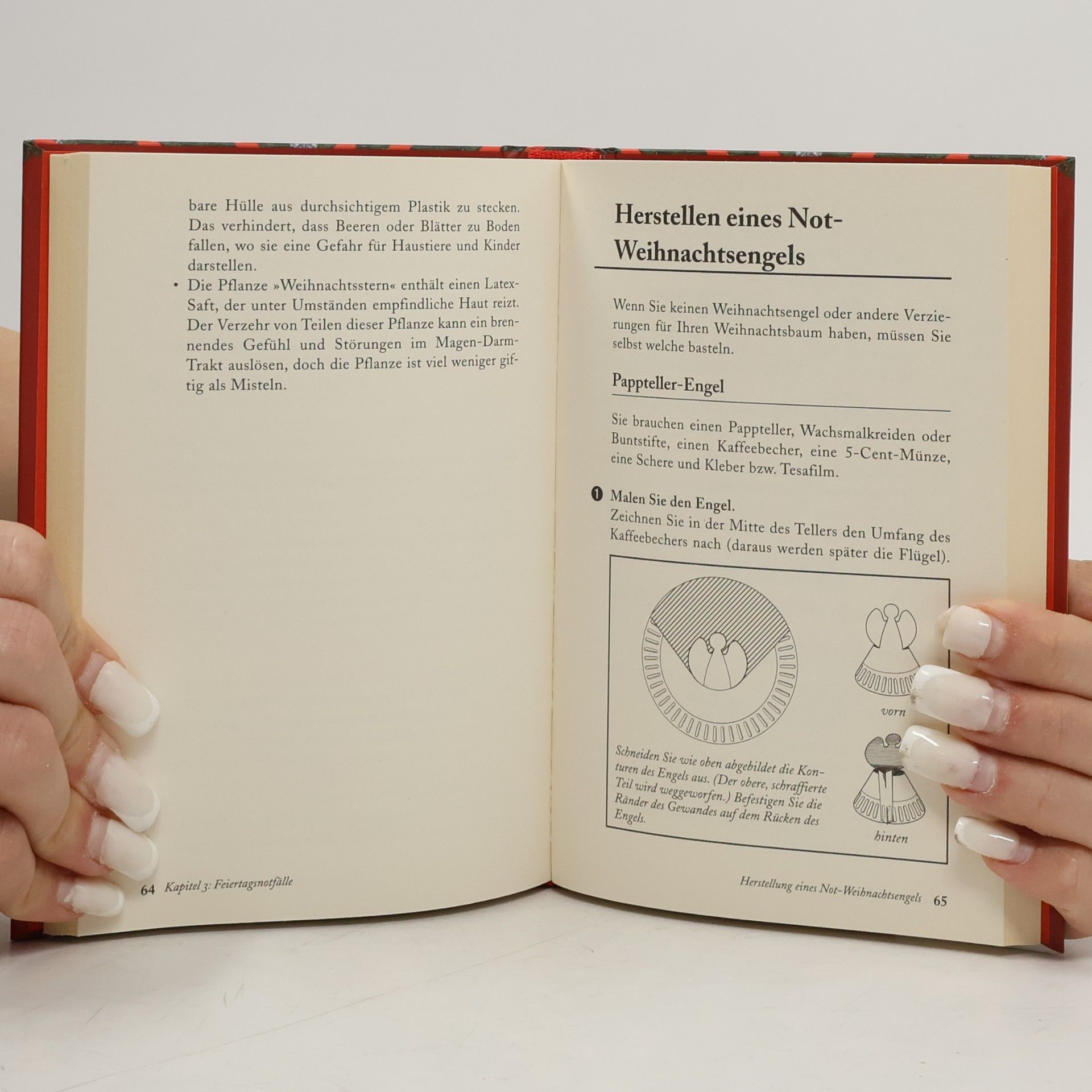 Joshua Piven Das Christmas-Survival-Buch. Überleben unterm Weihnachtsbaum