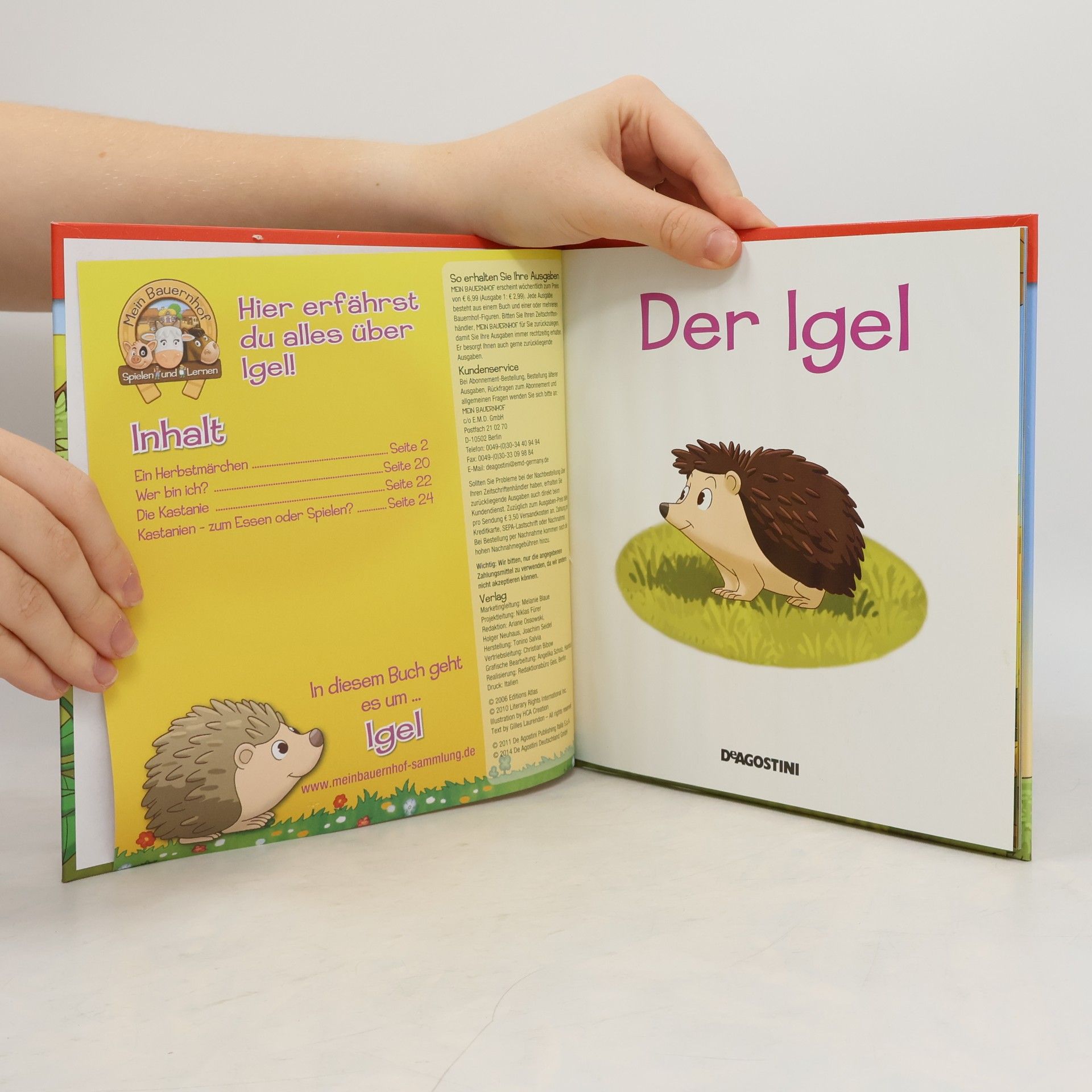 HCA Creation Der Igel