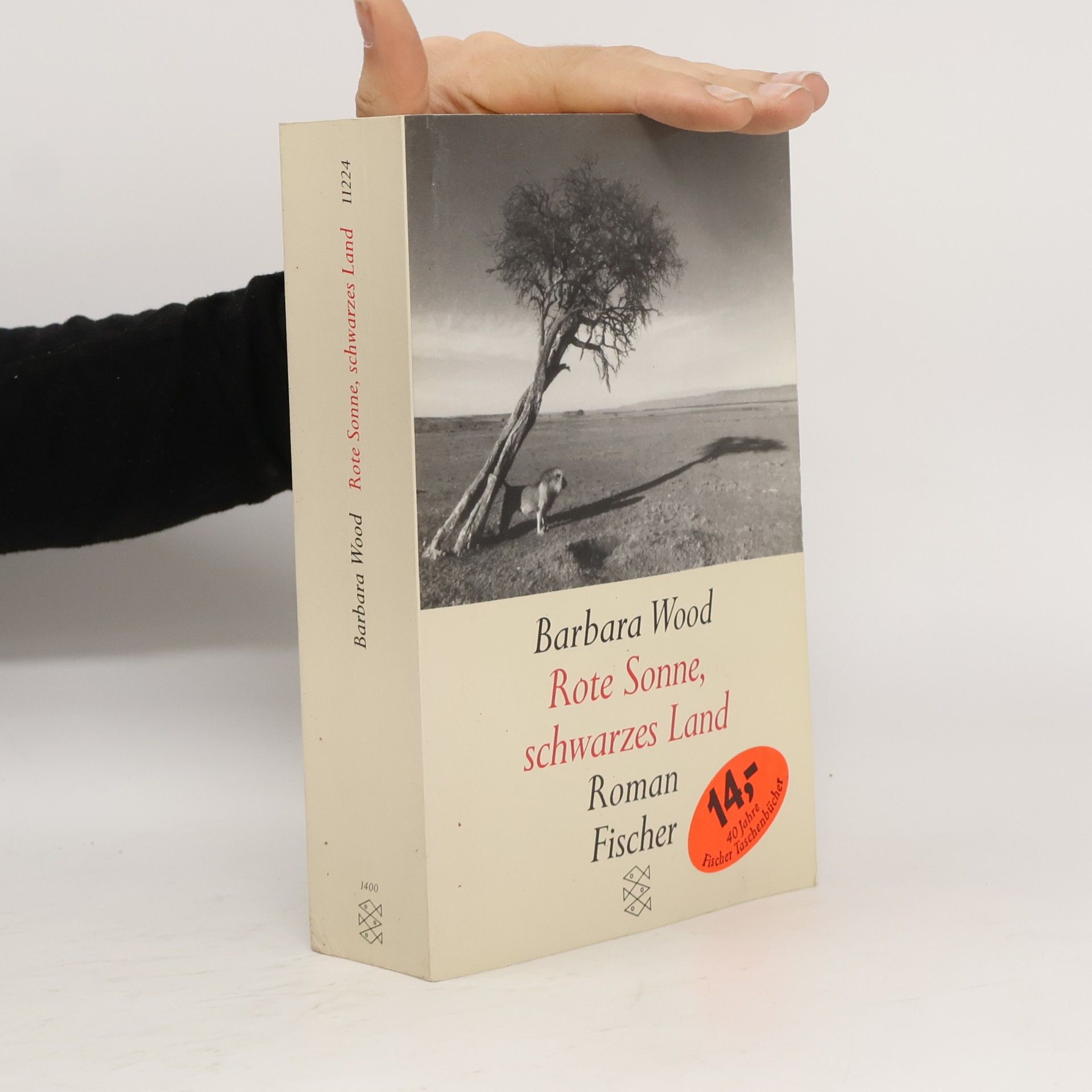 Barbara Wood Rote Sonne schwarzes Land