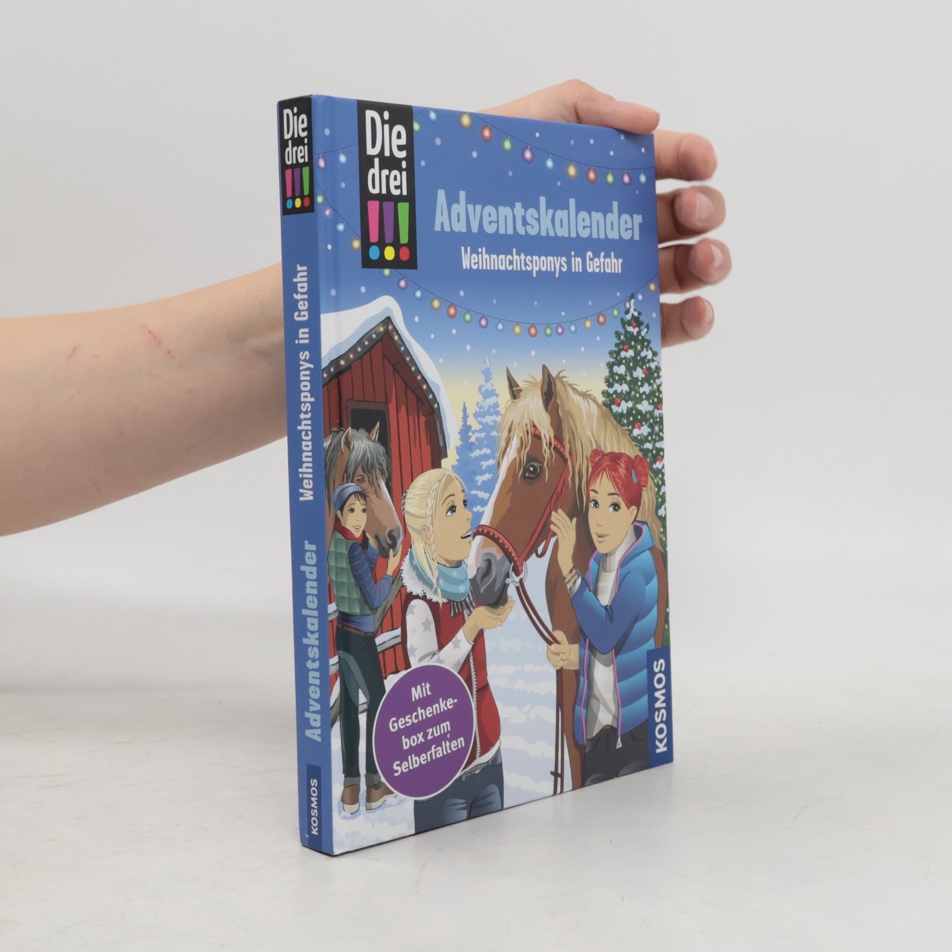 Die drei !!! Adventskalender. Weihnachtsponys in Gefahr