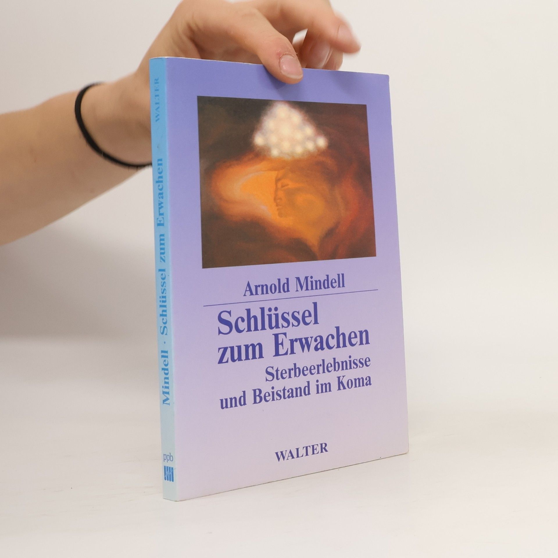 Arnold Mindell Schlüssel zum Erwachen