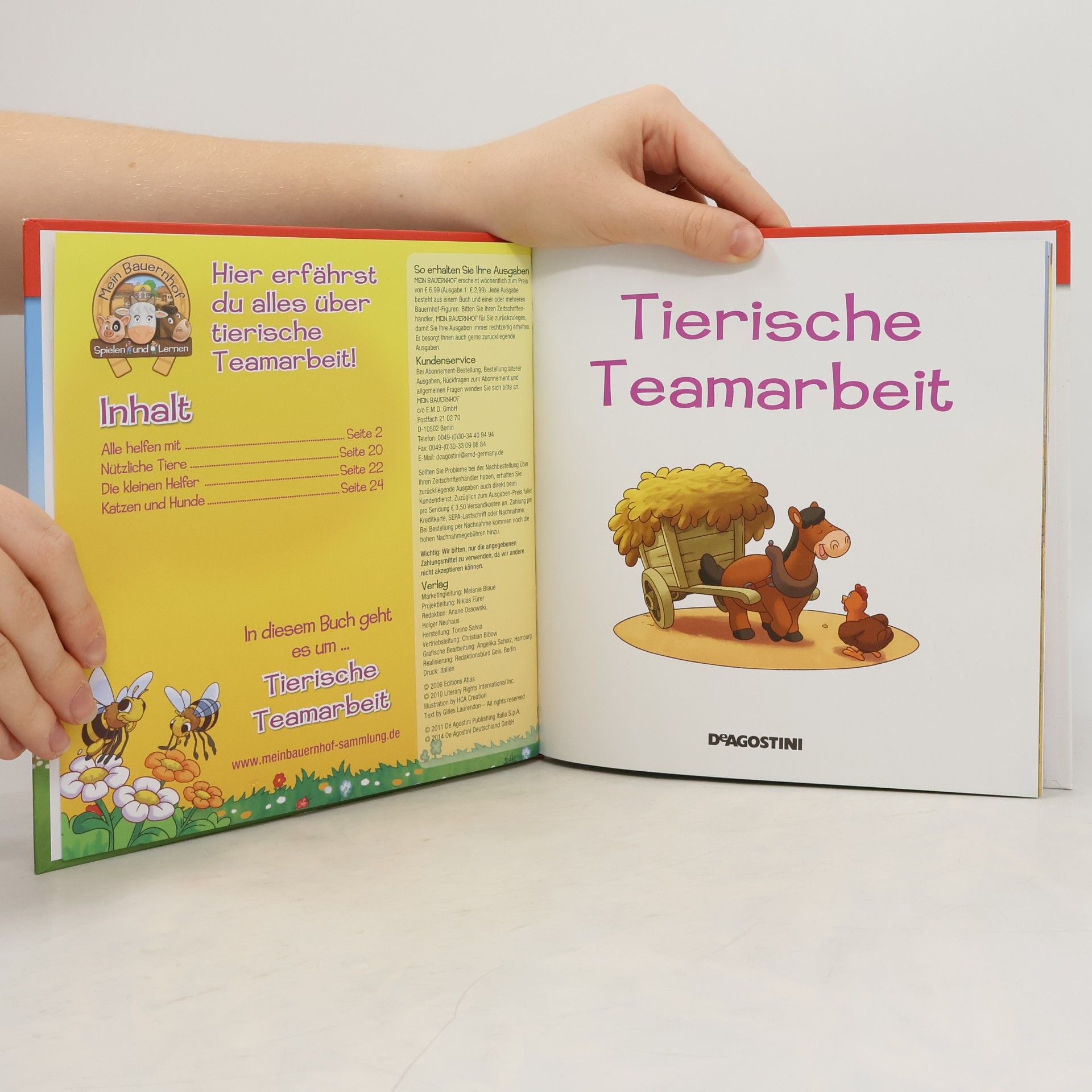 Autorenkollektiv Abenteuer auf dem Bauernhof 15. Tierische Teamarbeit