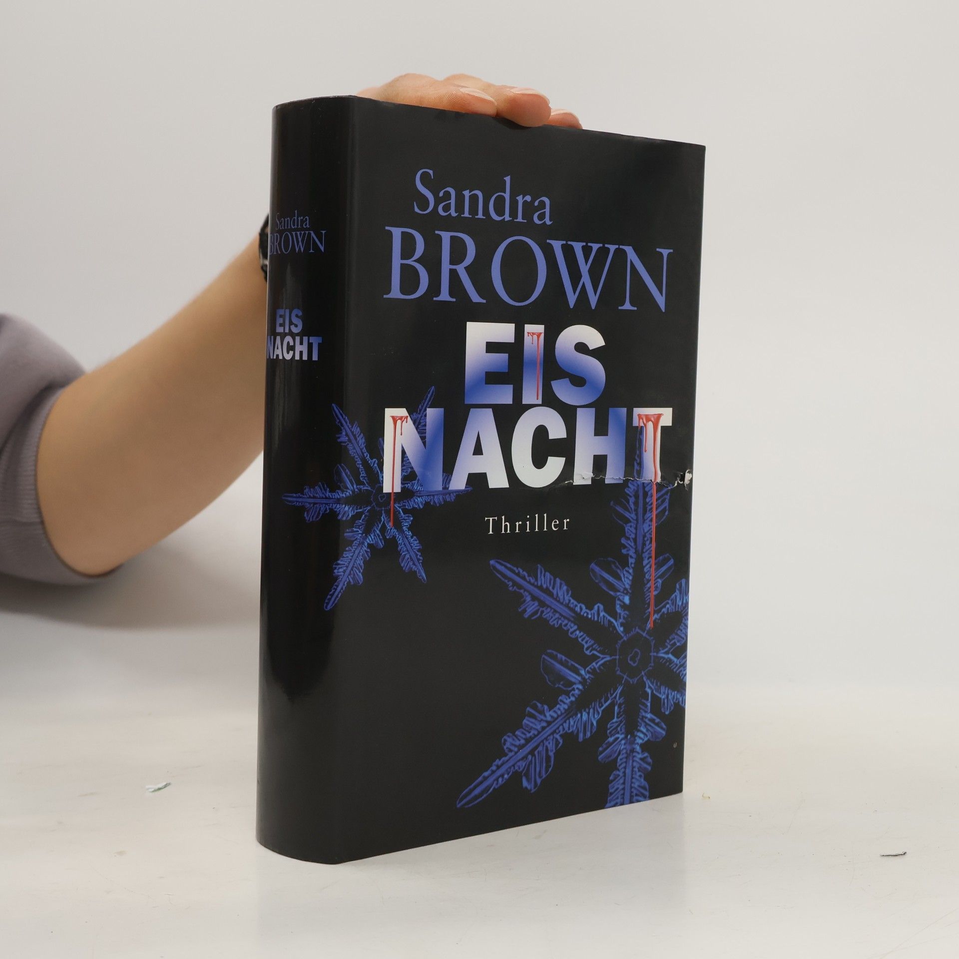 Sandra Brown Eis Nacht