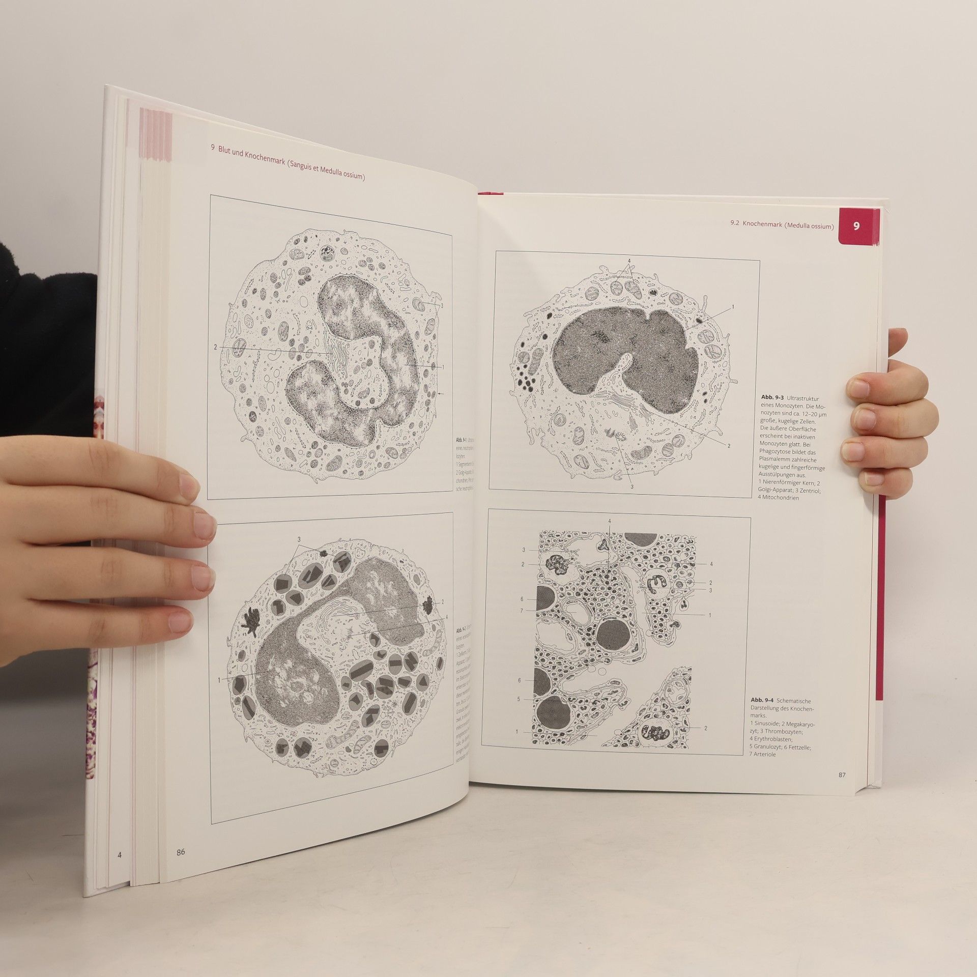 Fred Sinowatz VET PRAXIS: Histologie in der Tiermedizin