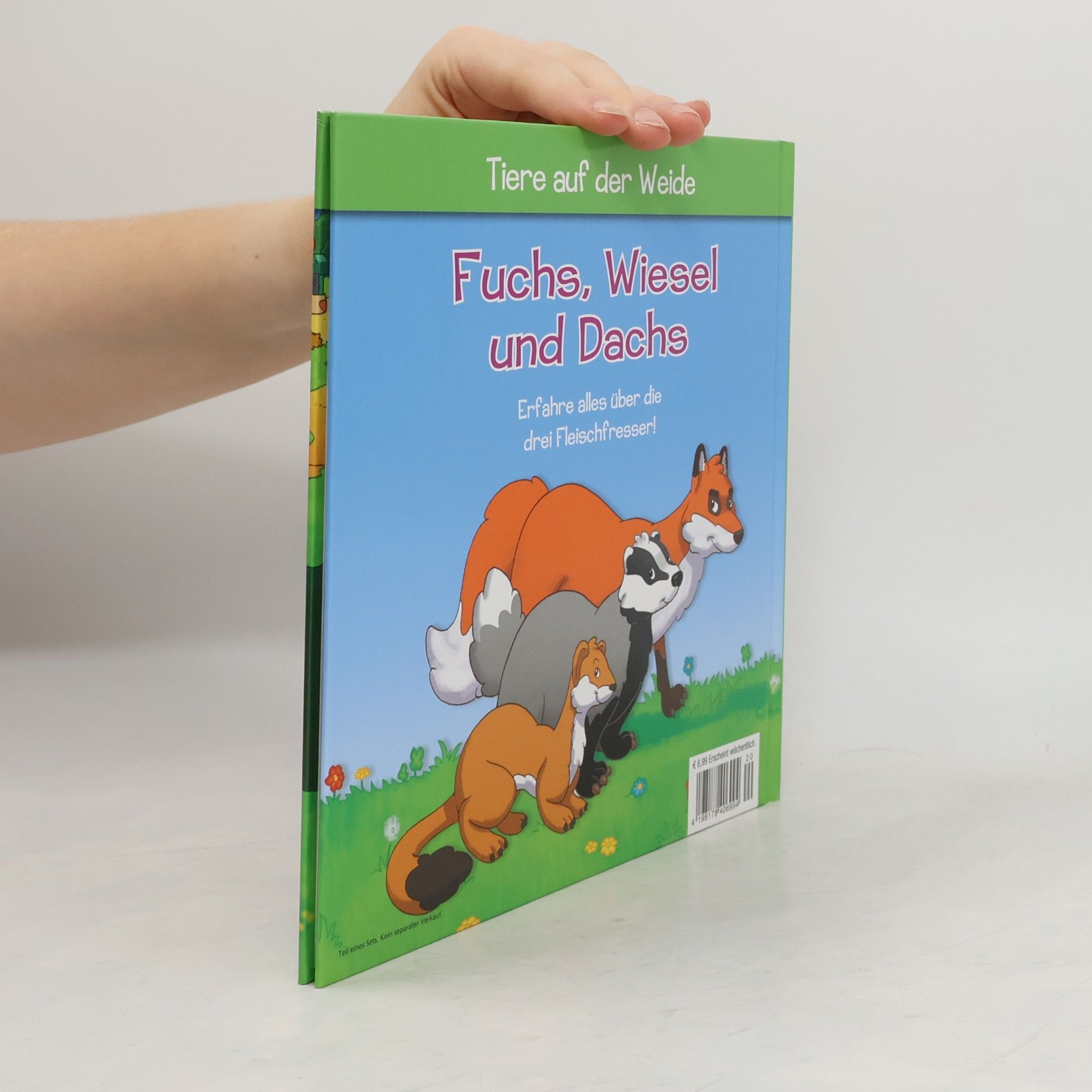 Autorenkollektiv Tiere auf der Weide 20. Fuchs, Wiesel und Dachs