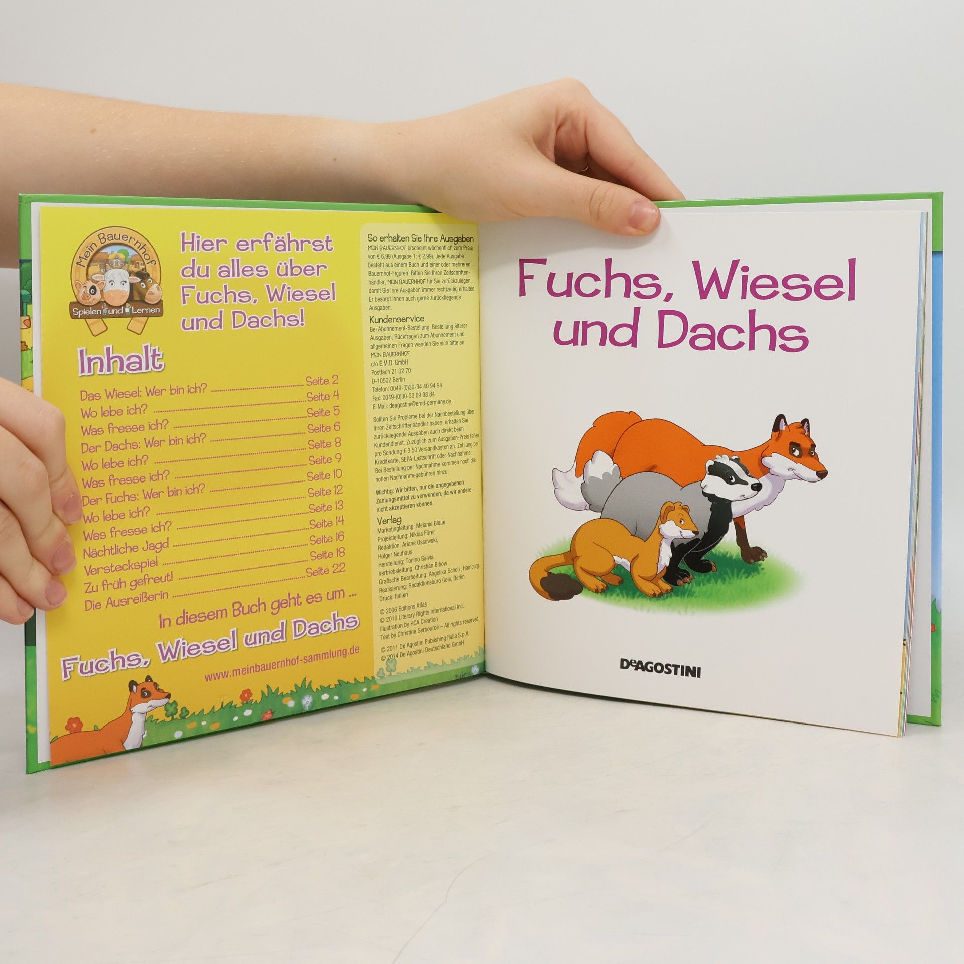 Autorenkollektiv Tiere auf der Weide 20. Fuchs, Wiesel und Dachs