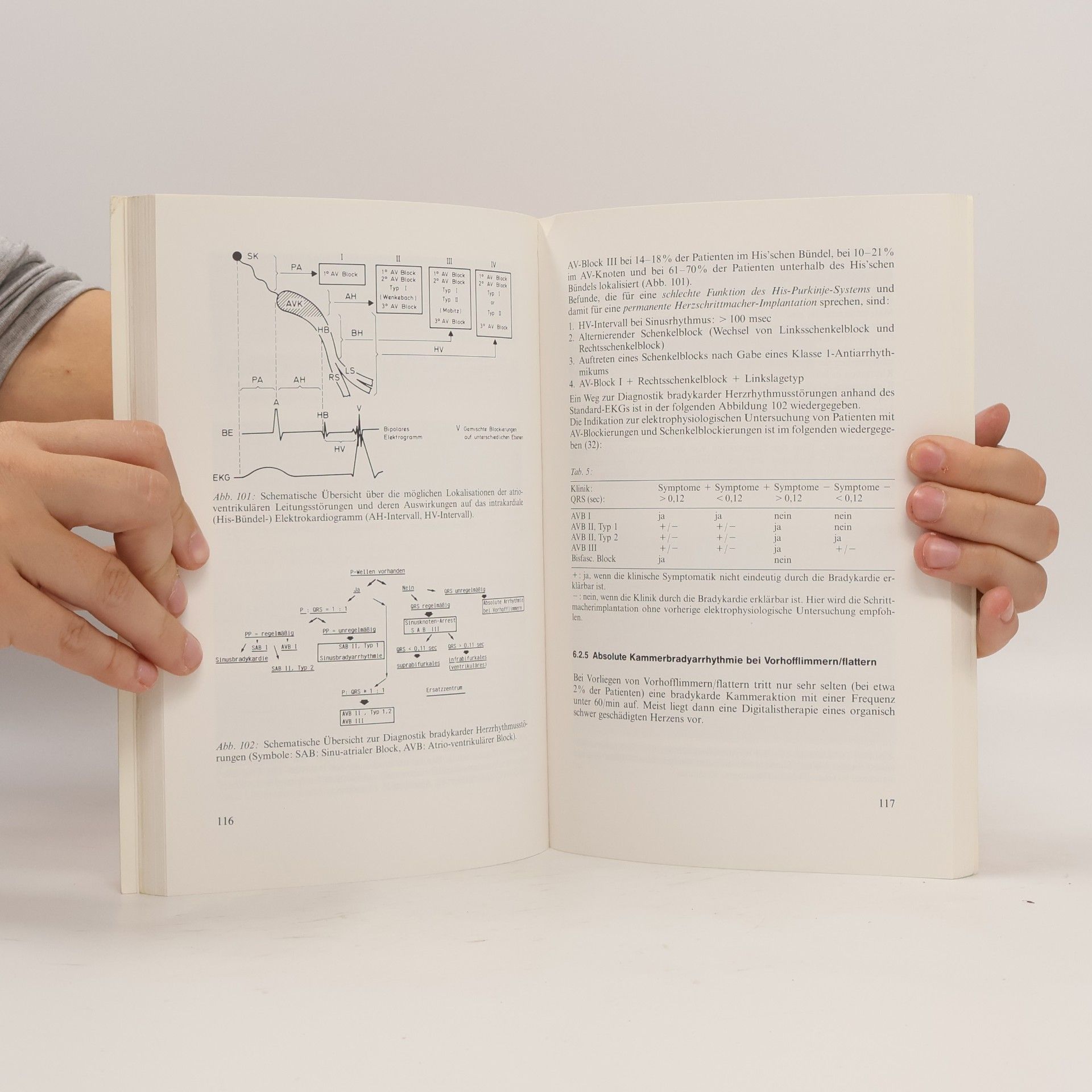 Michael H. Wehr Praktische Elektrokardiographie und Elektrophysiologie des Herzens