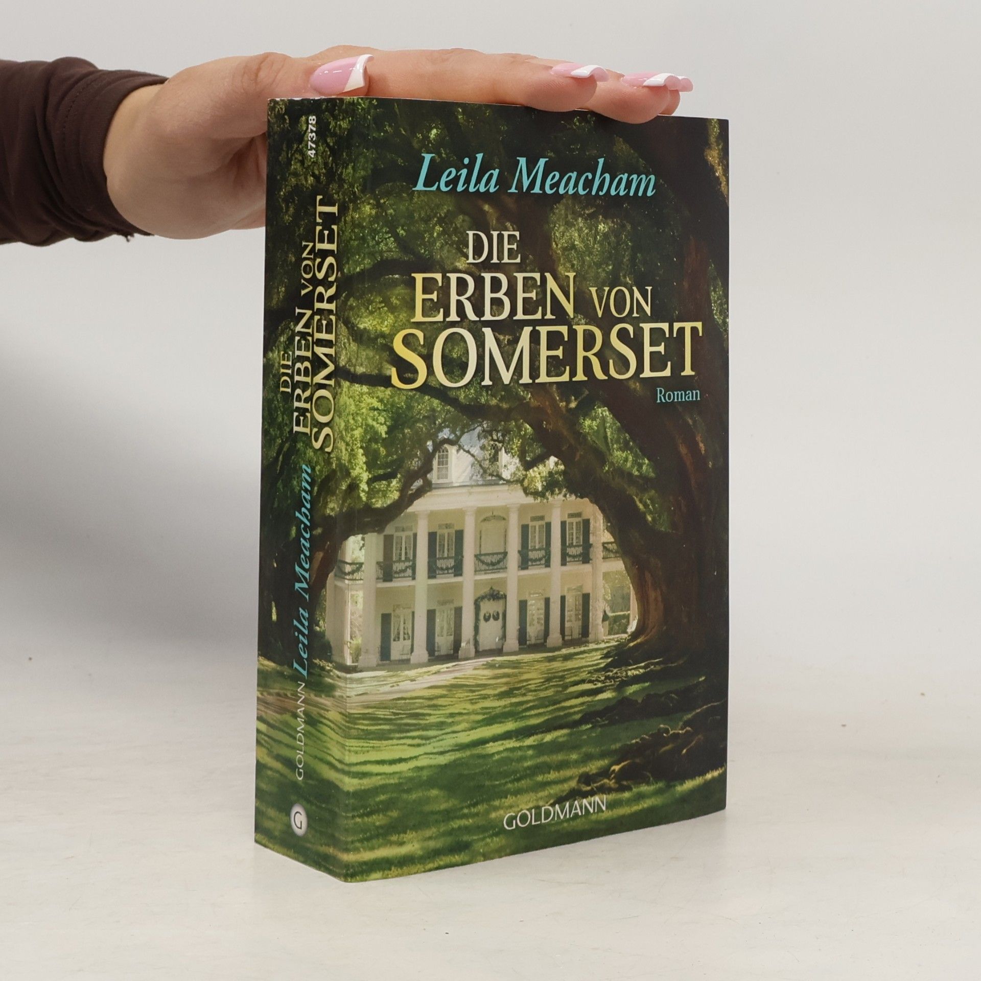 Die Erben von Somerset