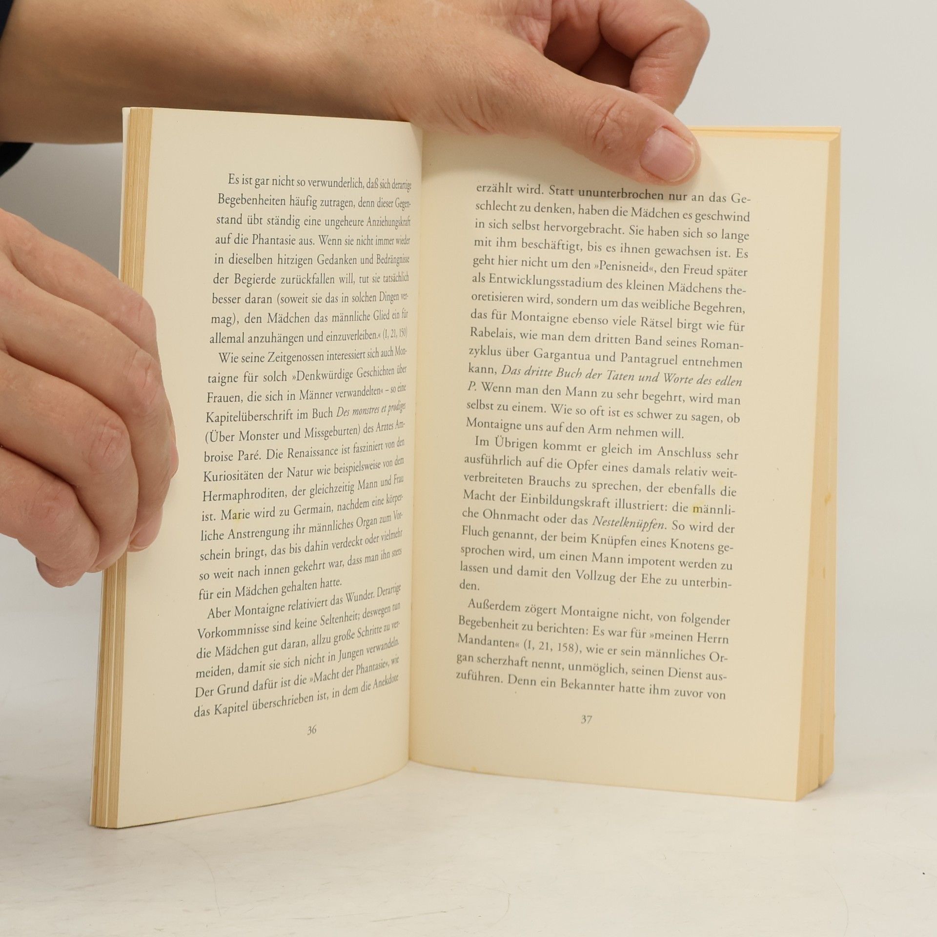 Antoine Compagnon Ein Sommer mit Montaigne