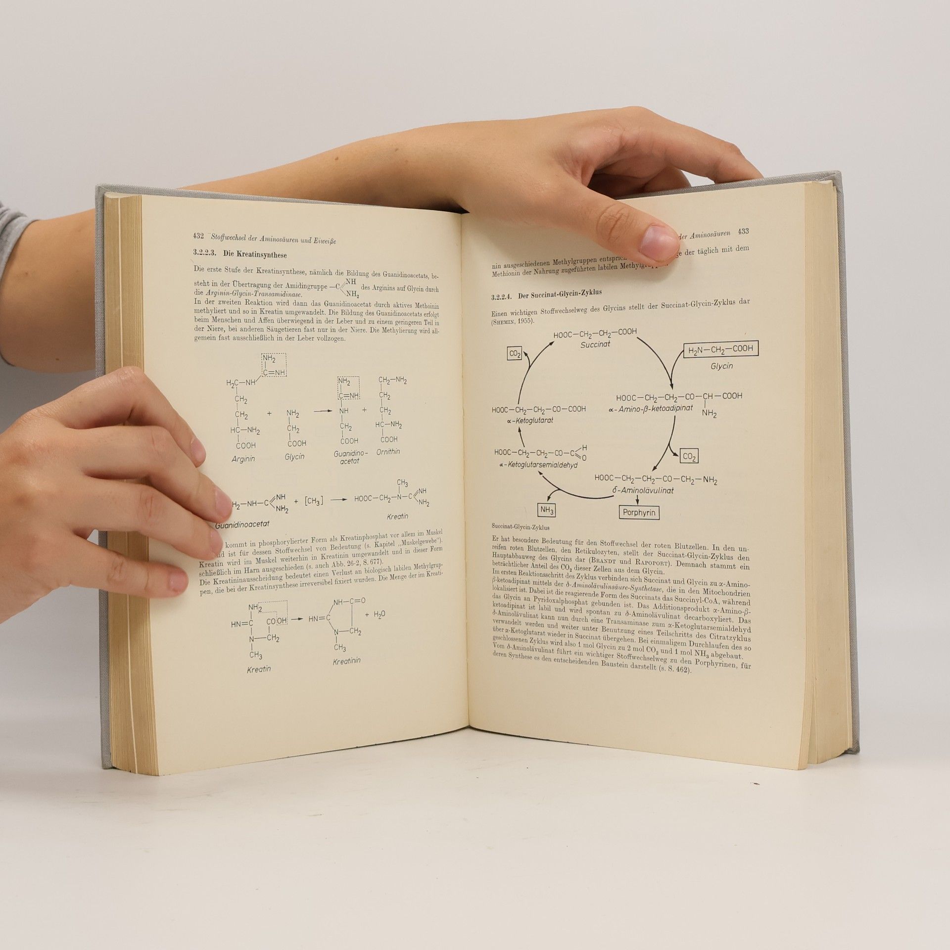 S. M. Rapoport Medizinische Biochemie