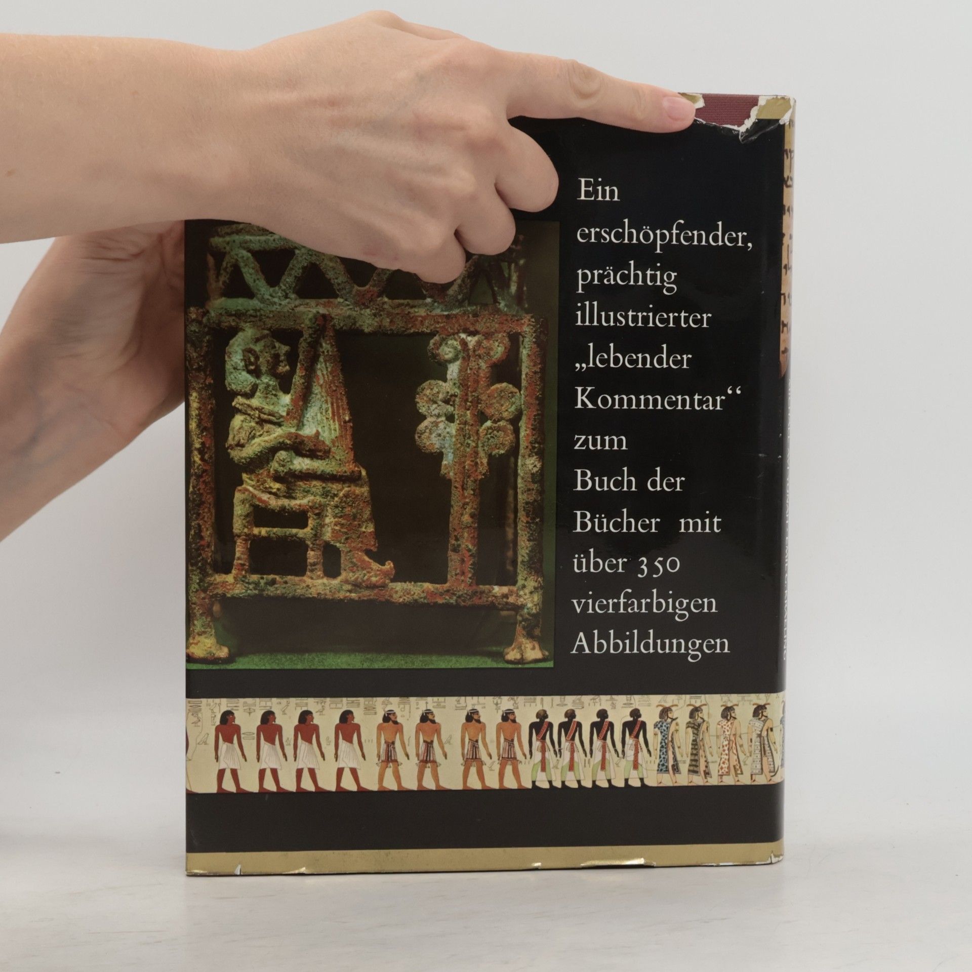 Michael Avi-Yonah Die Bibel in ihrer Welt