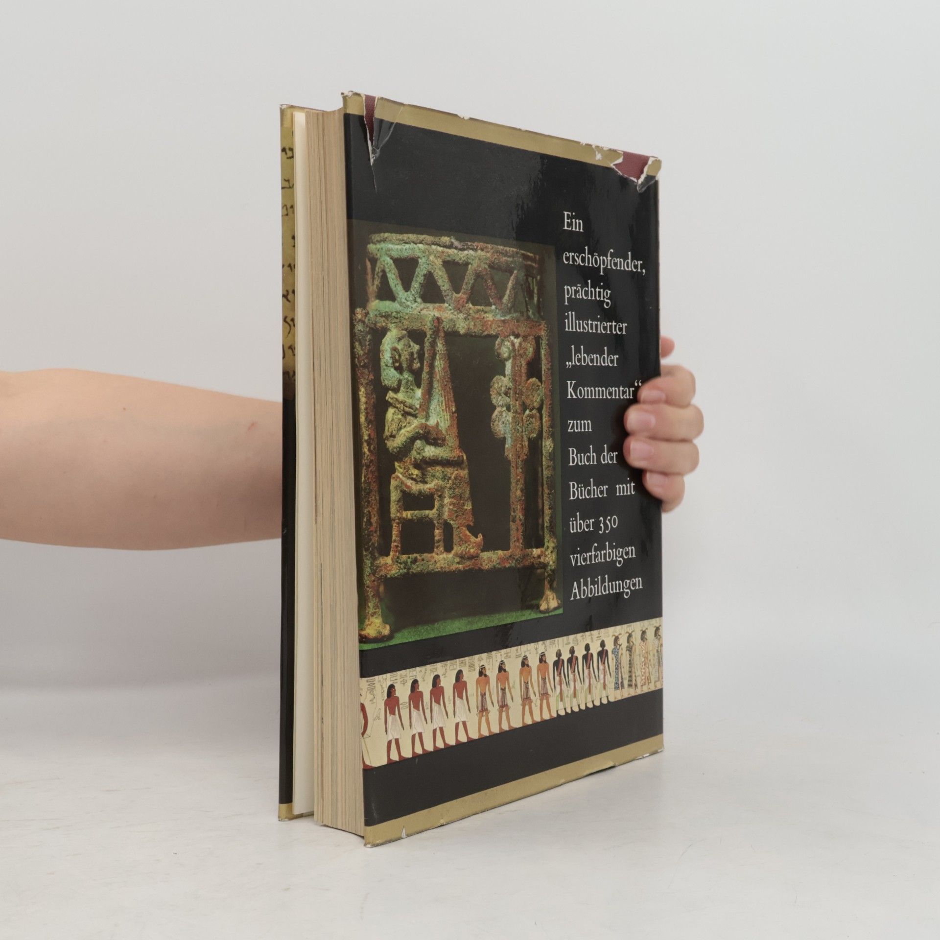 Michael Avi-Yonah Die Bibel in ihrer Welt