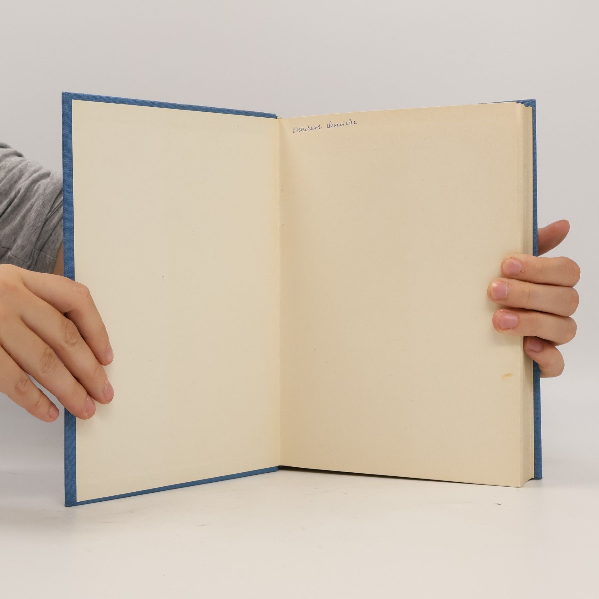 Gerhard Klumbies Psychotherapie in der Inneren und Allgemeinmedizin