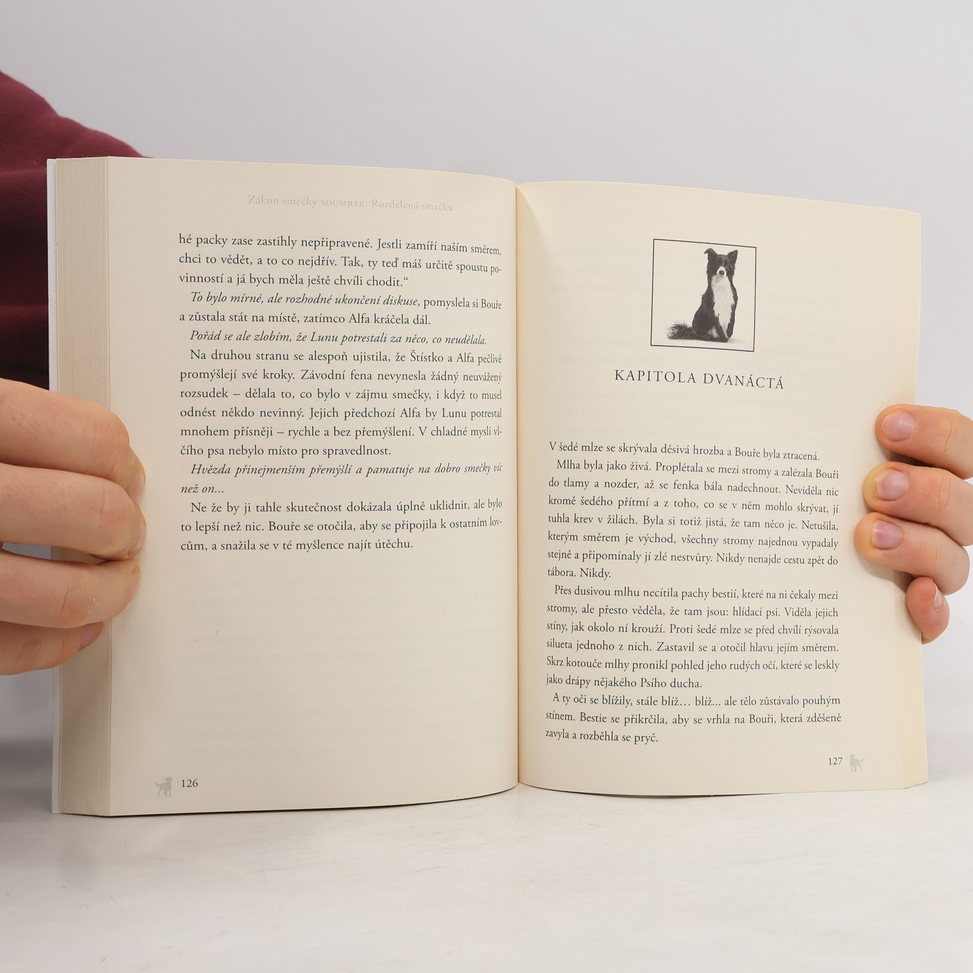 Erin Hunter Rozdělená smečka