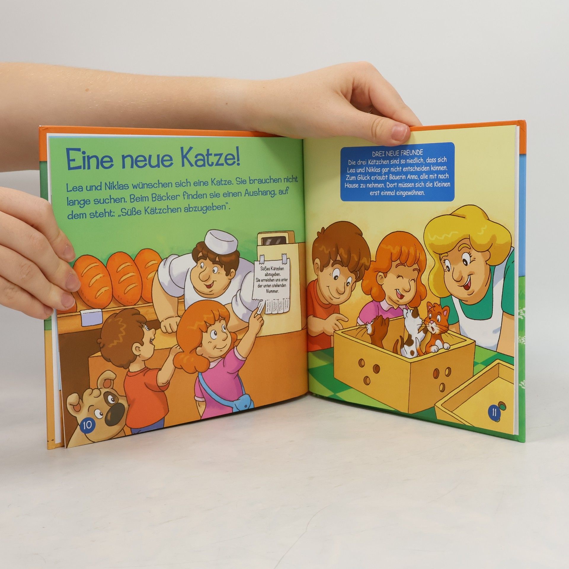 Autorenkollektiv Tiere auf dem Bauernhof 16. Der Kater