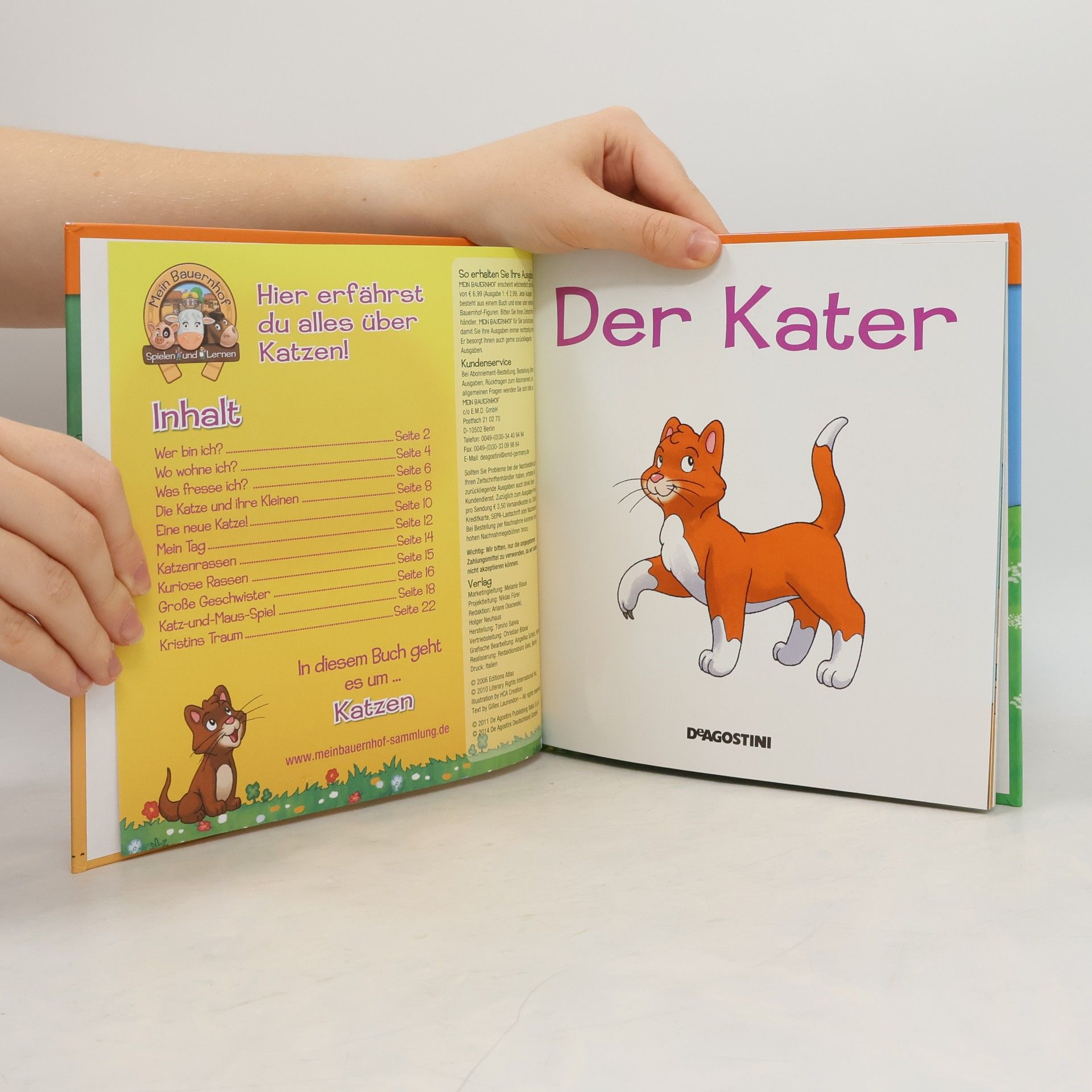 Autorenkollektiv Tiere auf dem Bauernhof 16. Der Kater