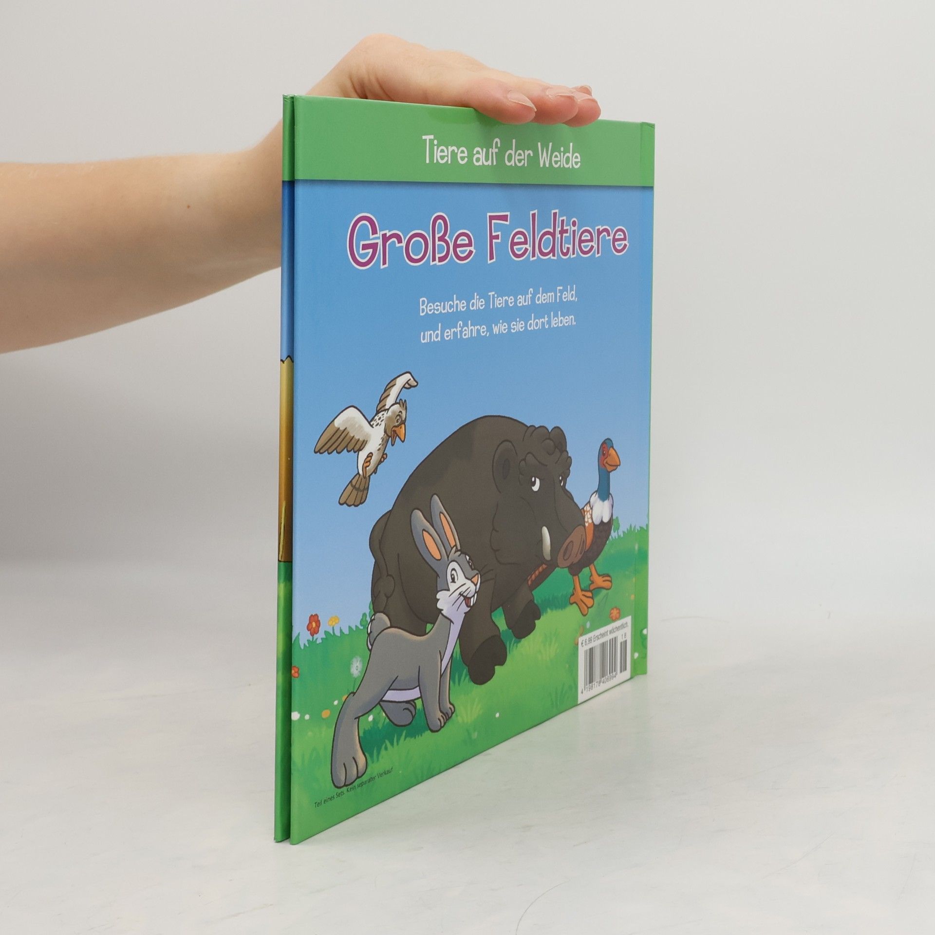 Autorenkollektiv Große Feldtiere