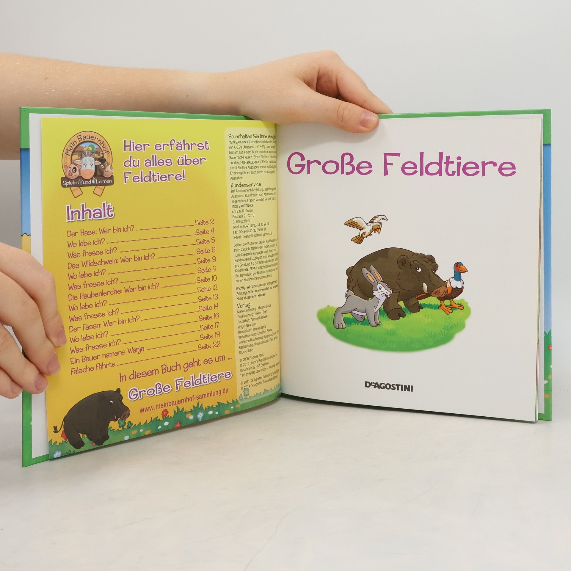 Autorenkollektiv Große Feldtiere