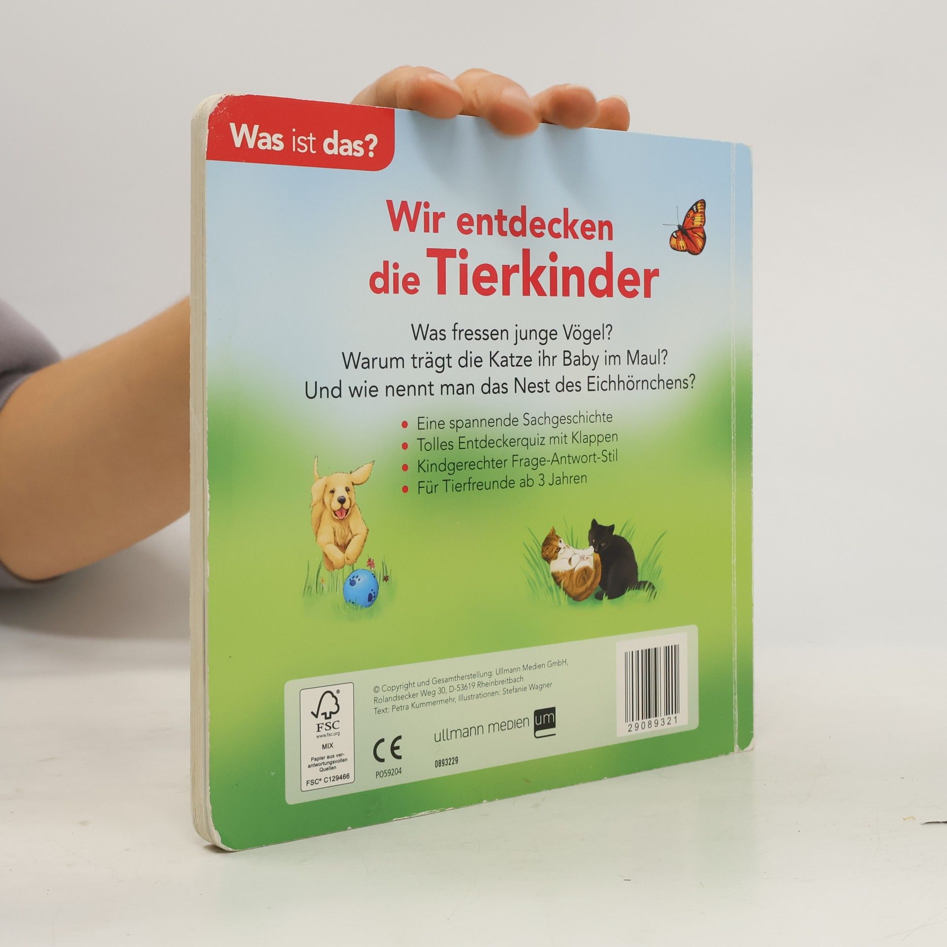 Autorenkollektiv Wir entdecken die Tierkinder