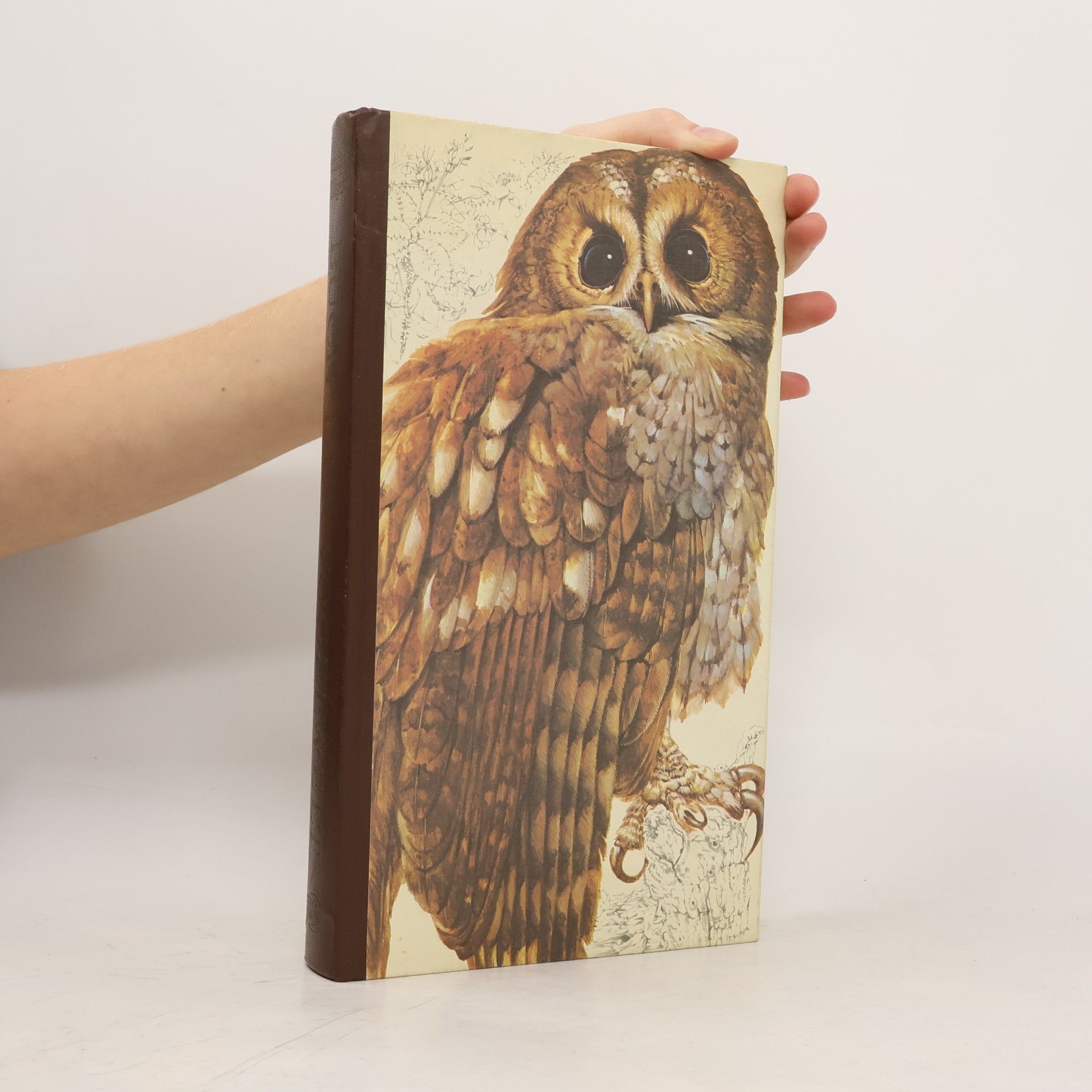 Günther Niethammer Das Reader's Digest Buch der Vogelwelt Mitteleuropas