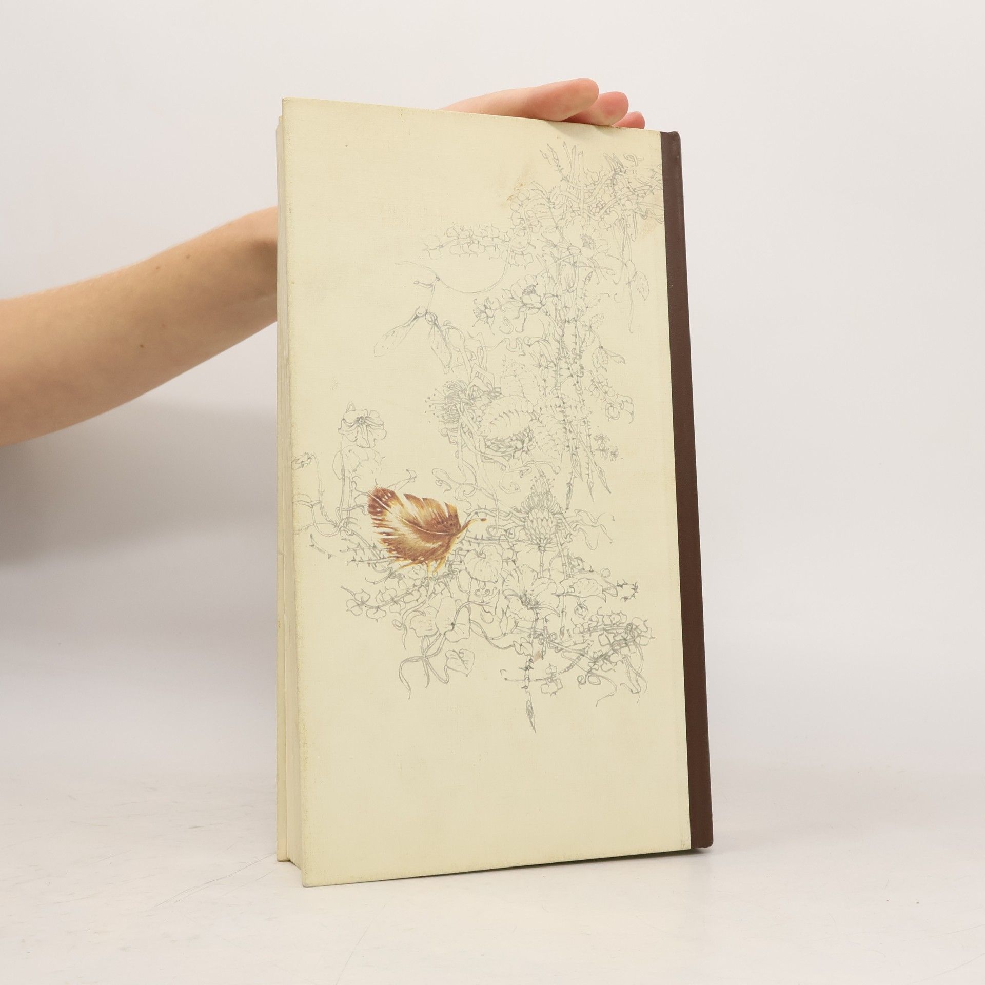 Günther Niethammer Das Reader's Digest Buch der Vogelwelt Mitteleuropas