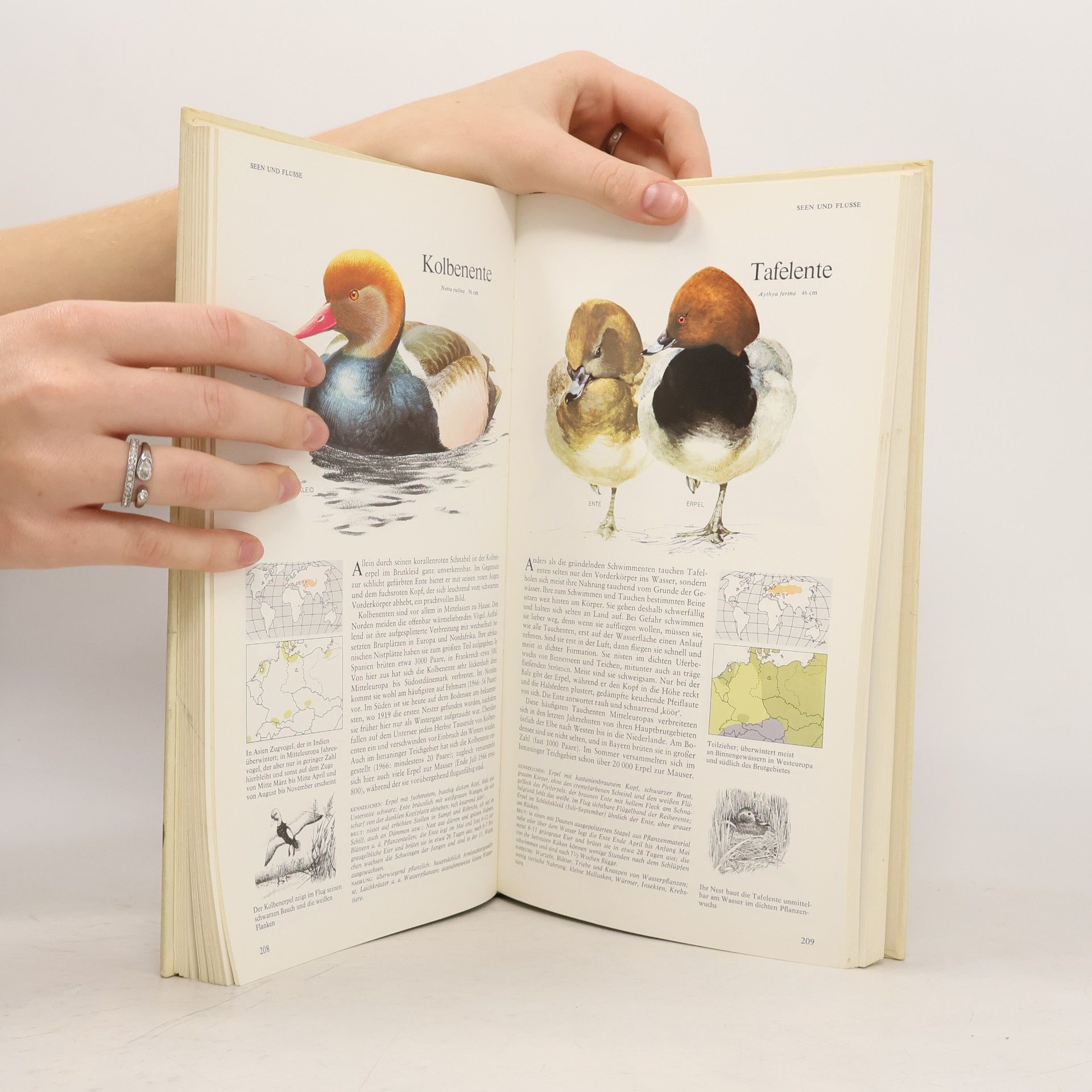 Günther Niethammer Das Reader's Digest Buch der Vogelwelt Mitteleuropas