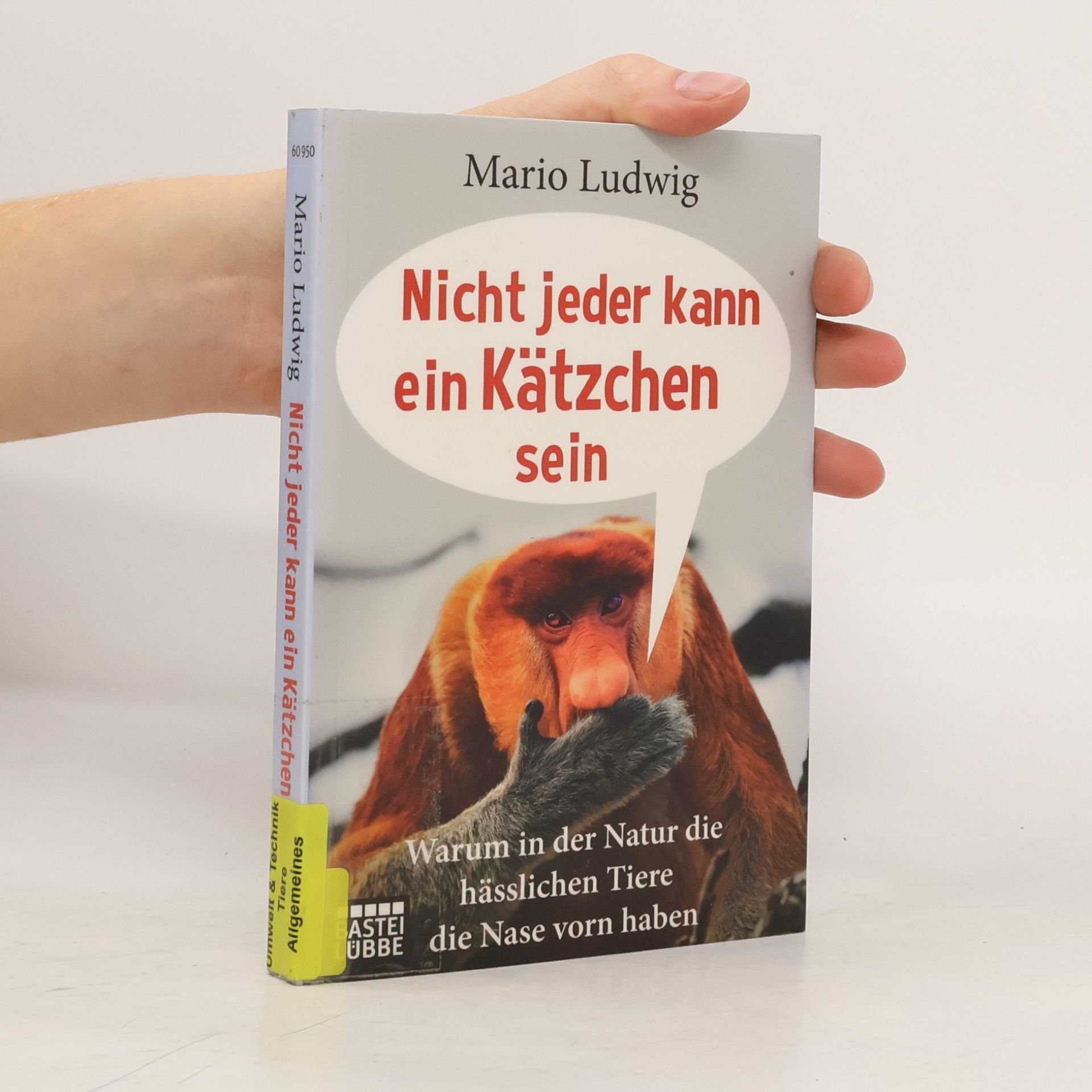 Nicht jeder kann ein Kätzchen sein