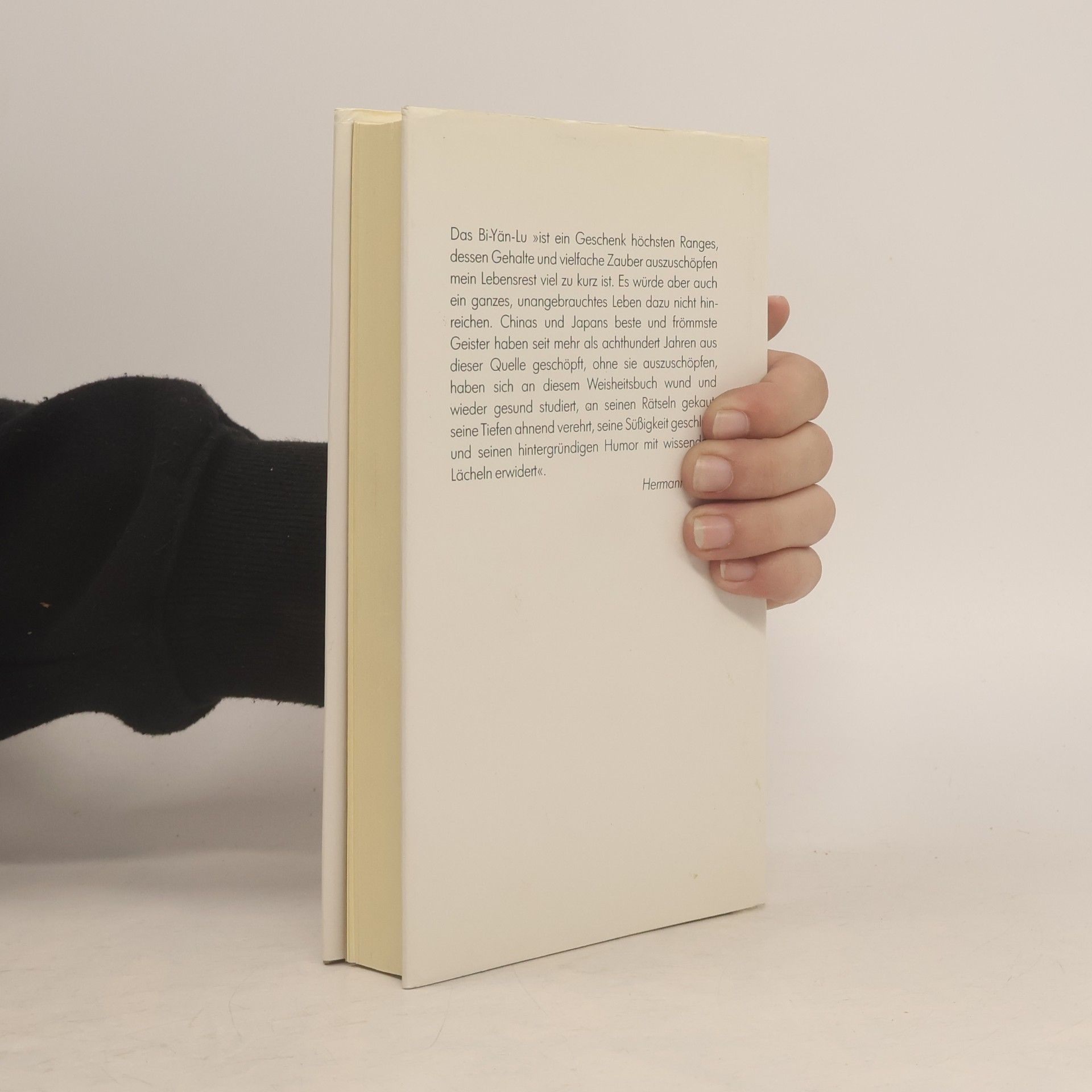 Achim Seidl Das Weisheitsbuch des Zen