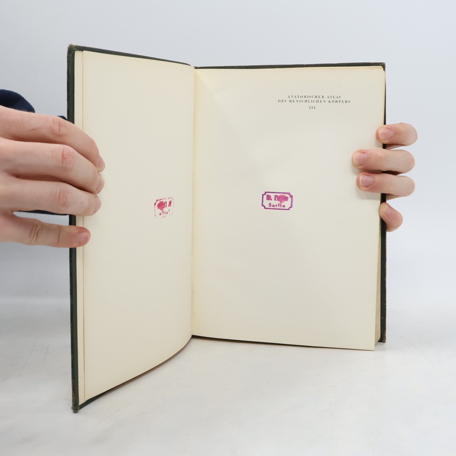 Kiss ANATOMISCHER ATLAS DES MENSCHLICHEN KÖRPERS